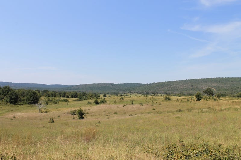 Daisy Meadows Tract 37 photo 8