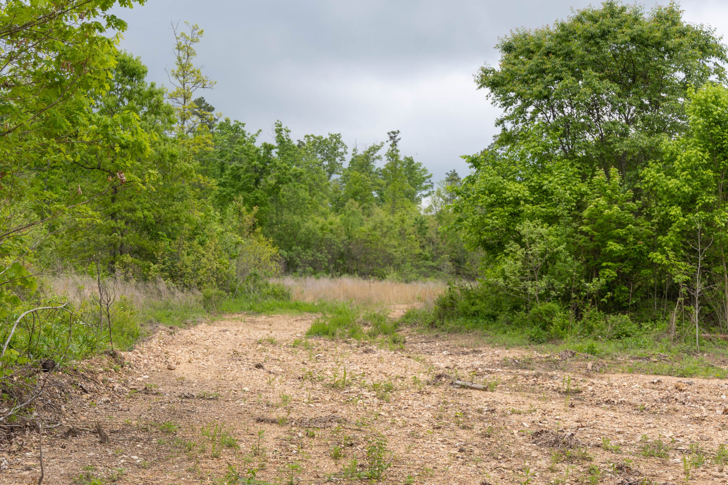 Sleepy Hollow Phase II Tract 92 photo 7