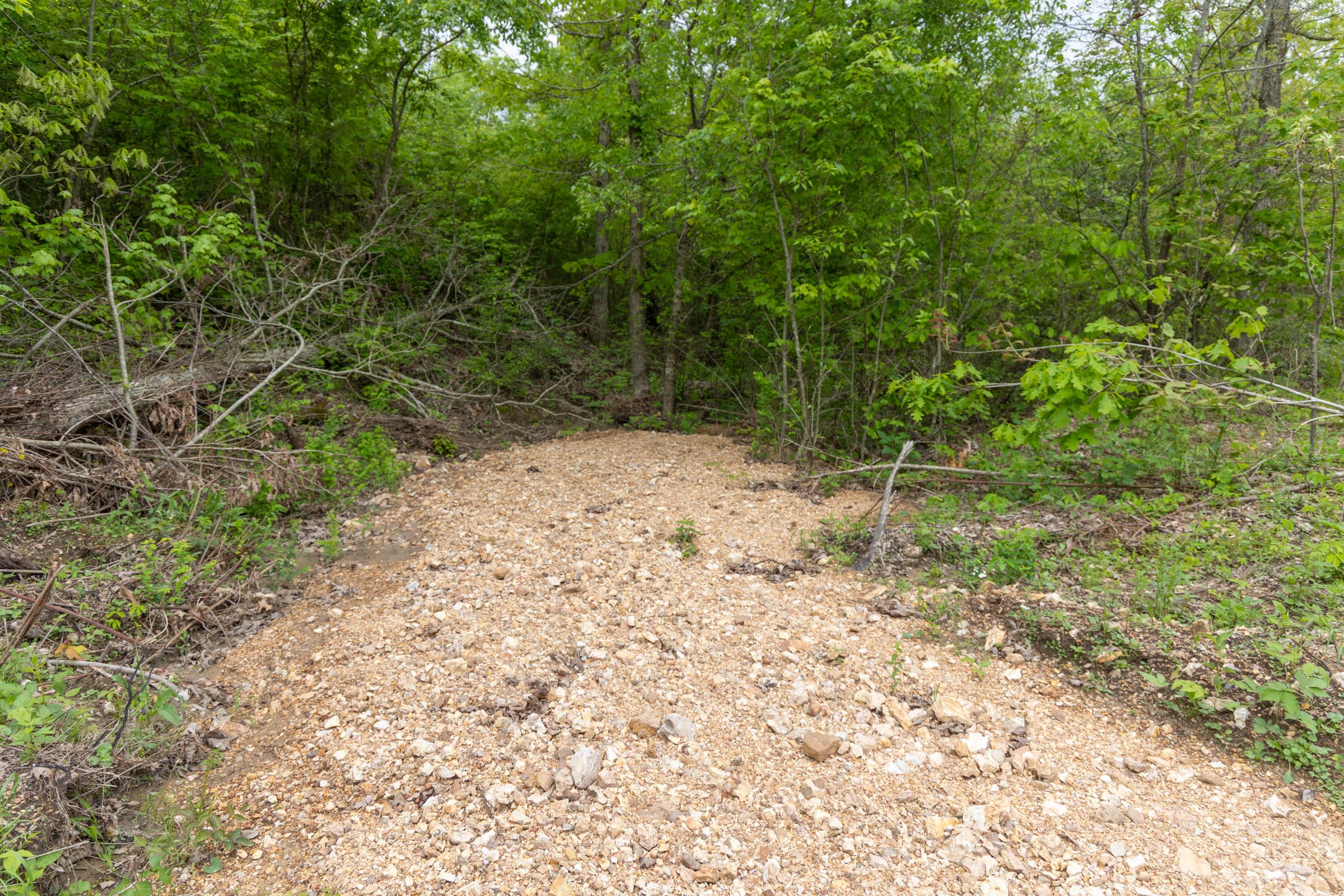 Sleepy Hollow Phase II Tract 92 photo 6