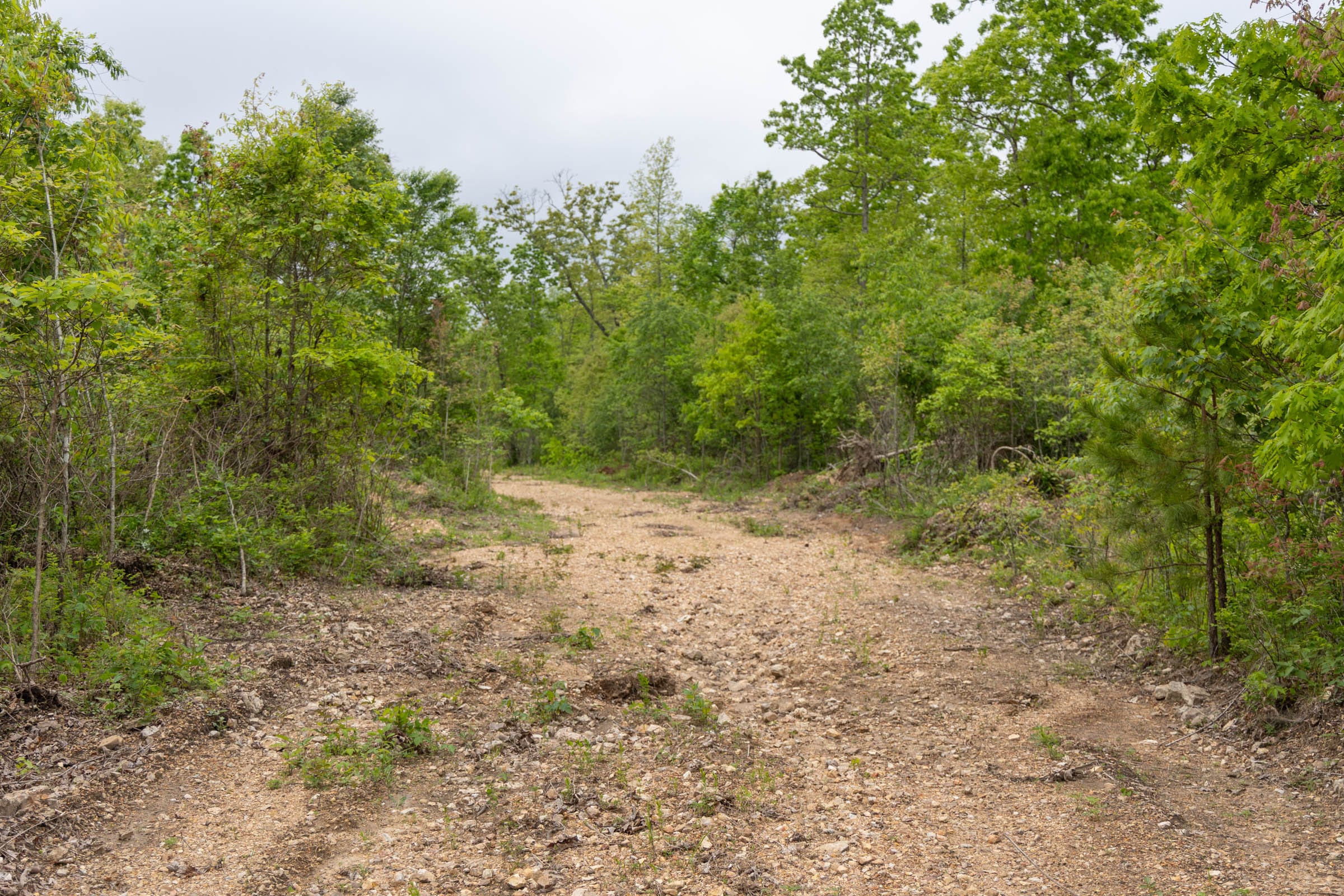 Sleepy Hollow Phase II Tract 92 photo 2