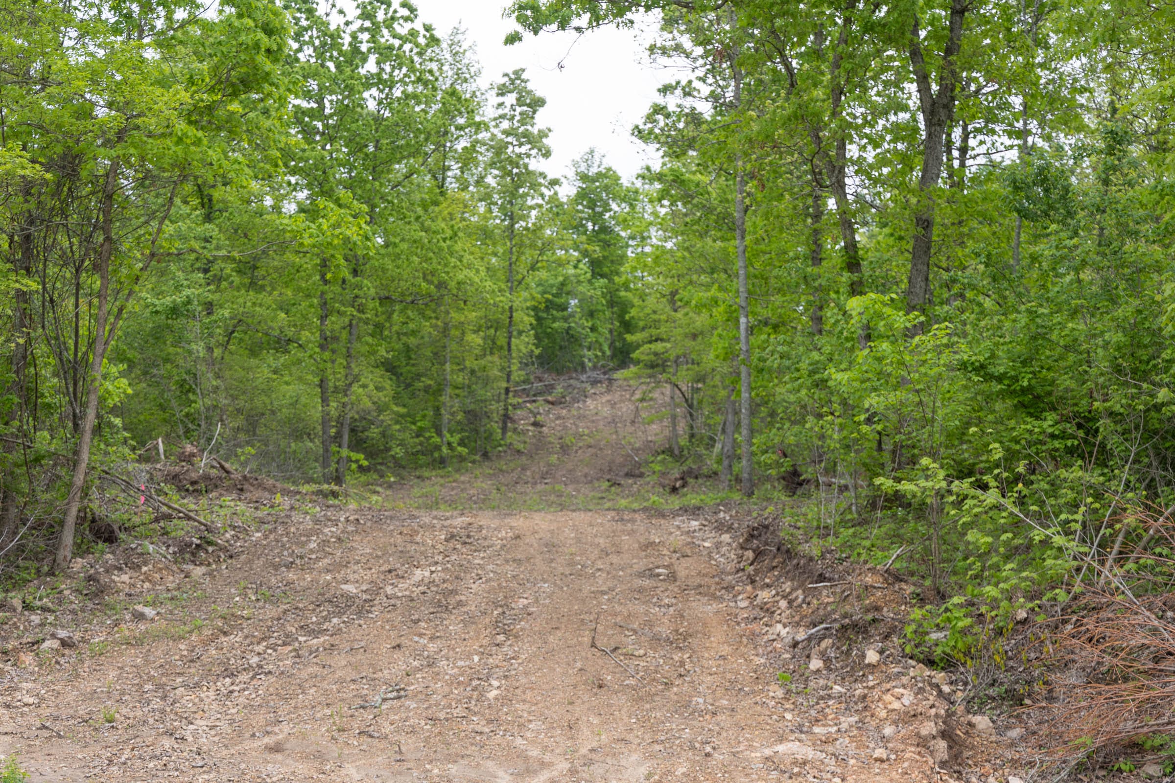 Sleepy Hollow Phase II Tract 92 photo 3