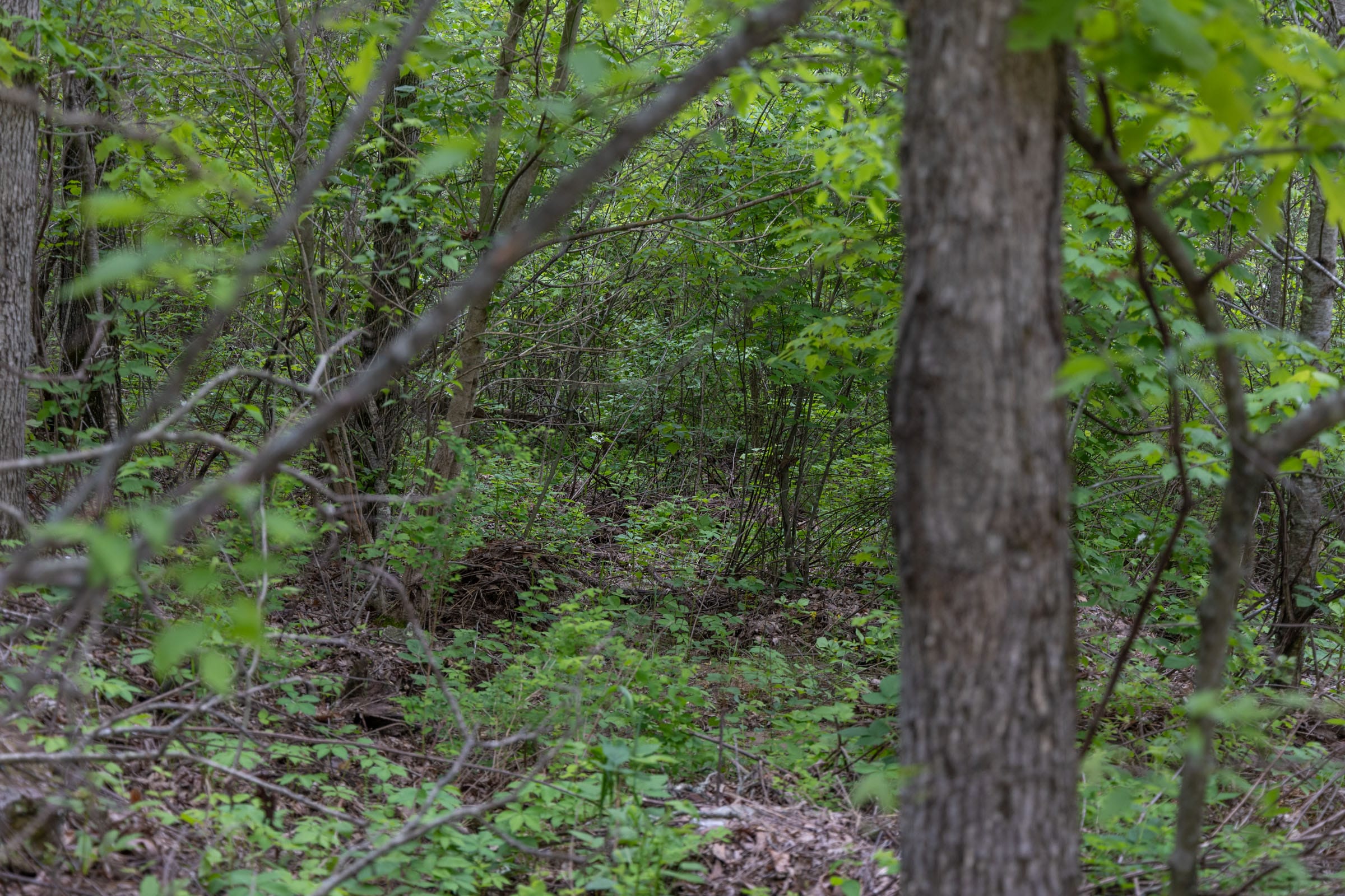 Sleepy Hollow Phase II Tract 92 photo 1