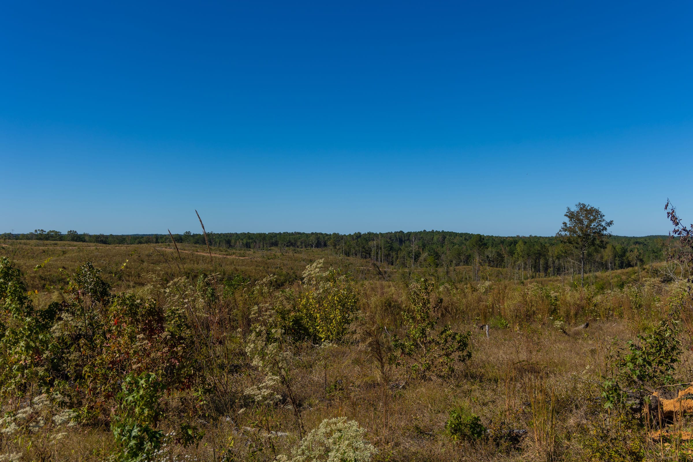 Meyer’s Ridge Tract 20 photo 18