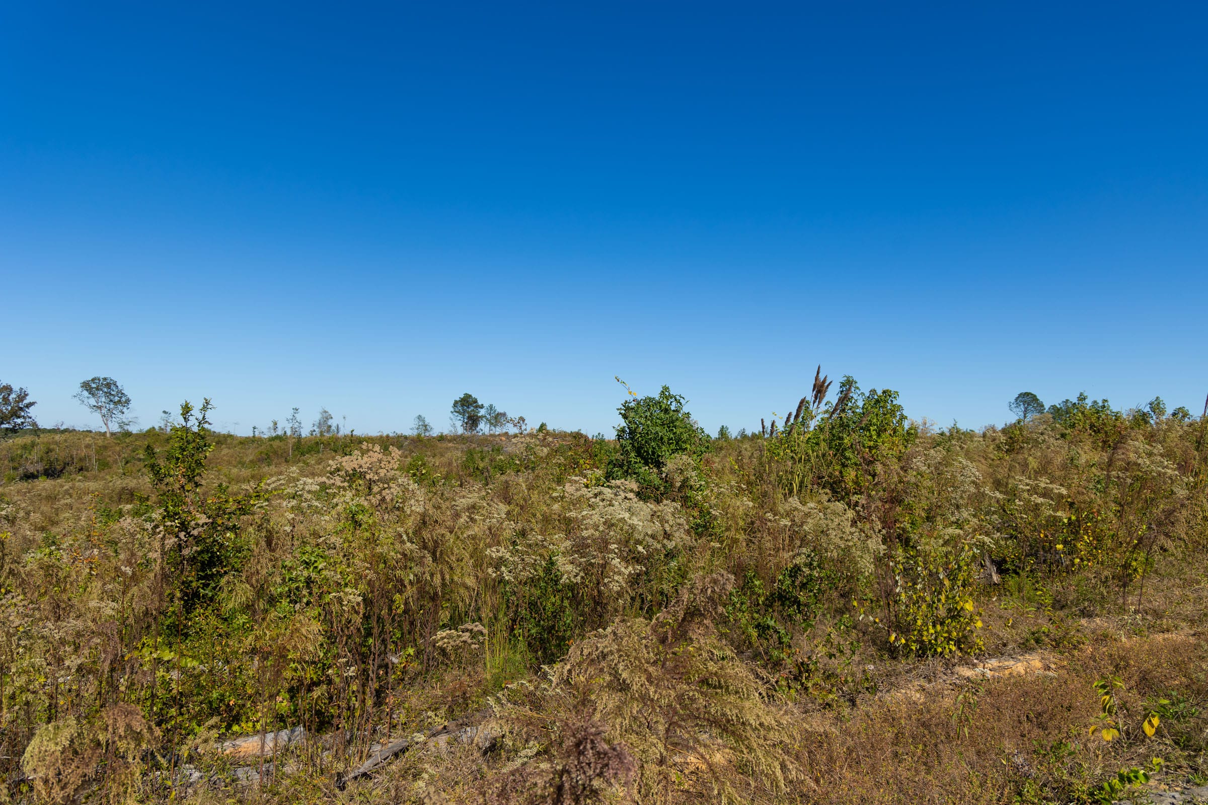 Meyer’s Ridge Tract 20 photo 17