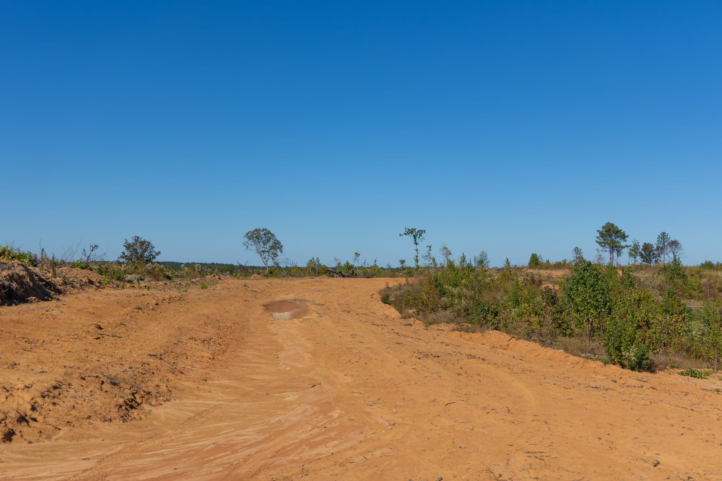 Meyer’s Ridge Tract 20 photo 19