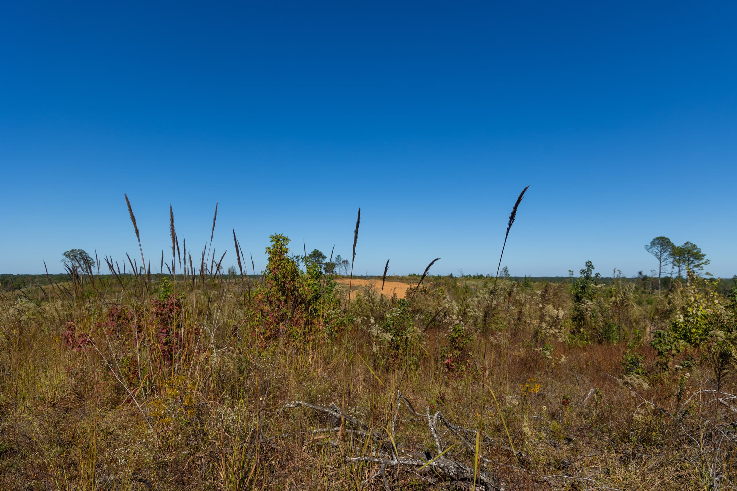Meyer’s Ridge Tract 20 photo 13