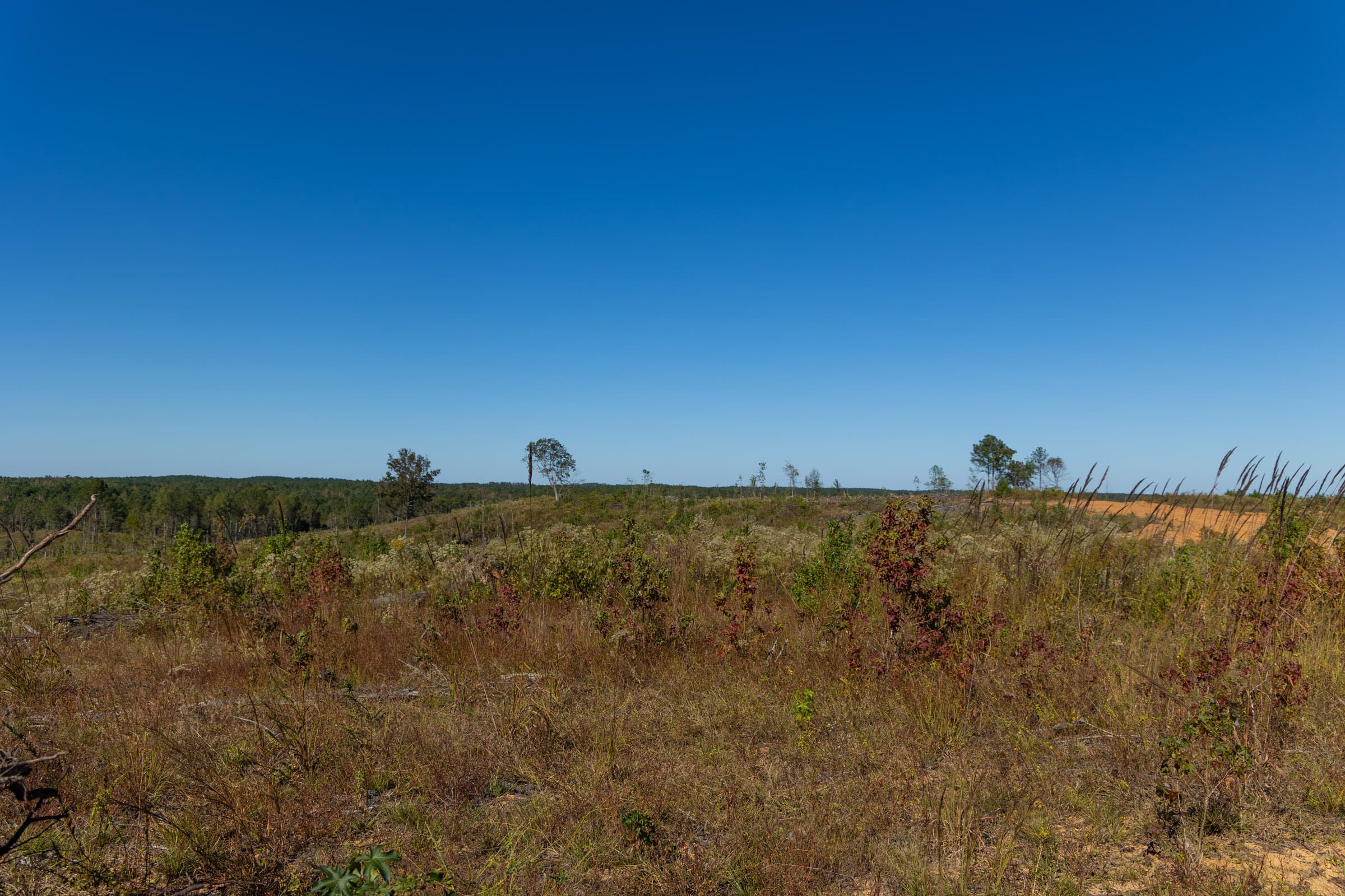 Meyer’s Ridge Tract 20 photo 11