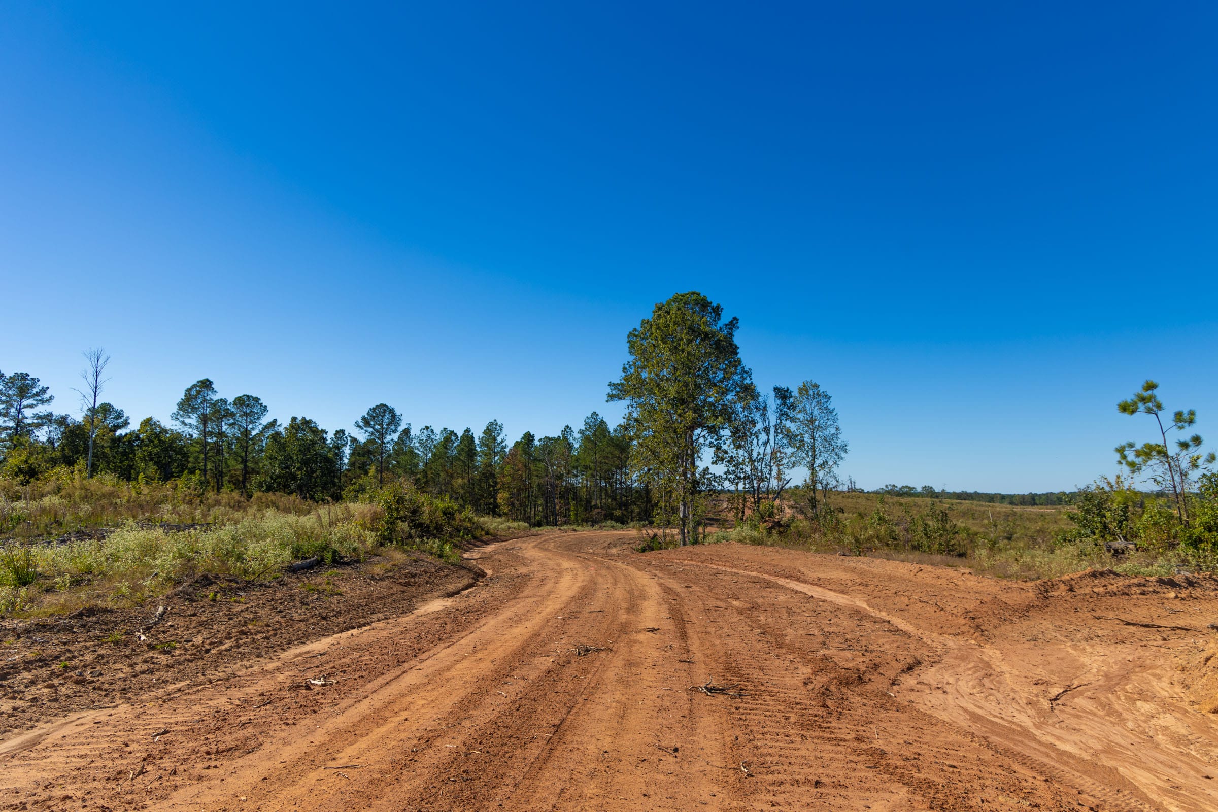 Meyer’s Ridge Tract 20 photo 14