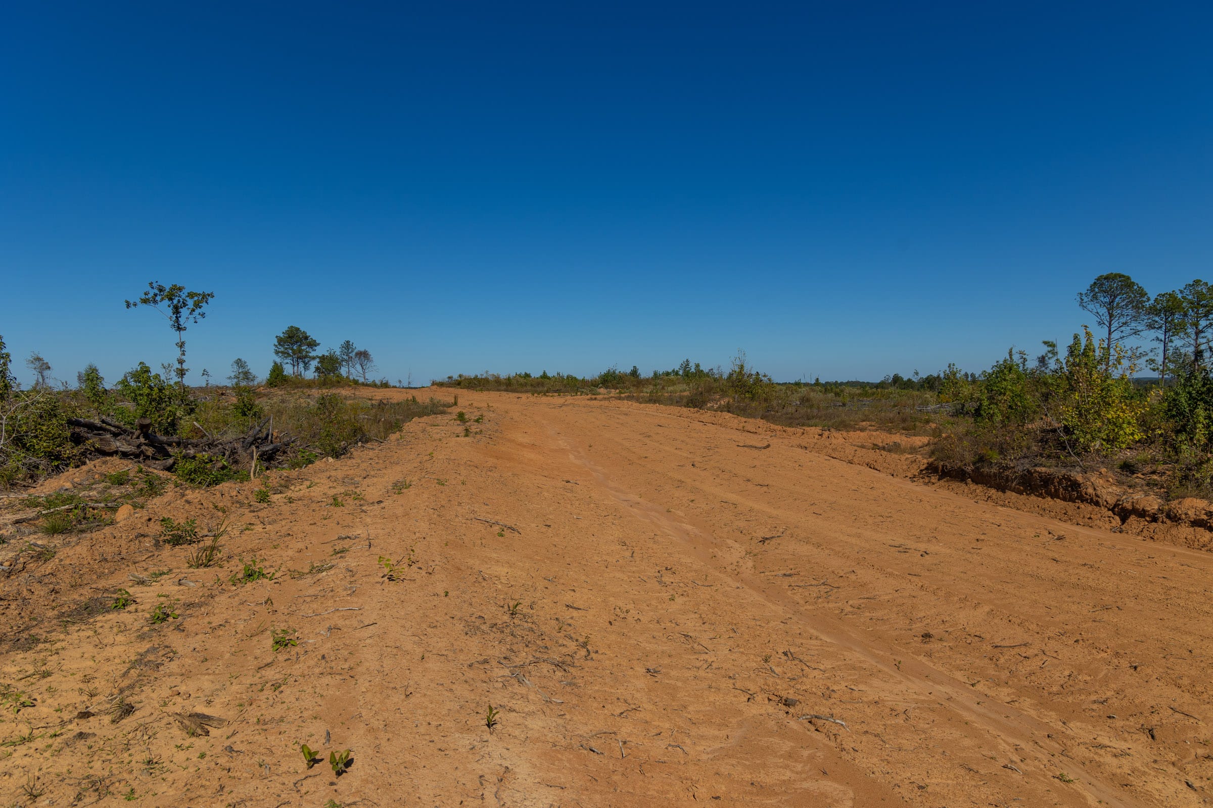 Meyer’s Ridge Tract 20 photo 3