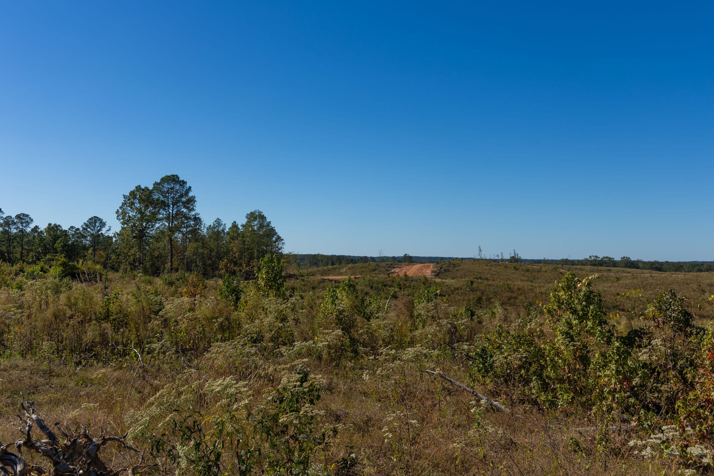 Meyer’s Ridge Tract 20 photo 7