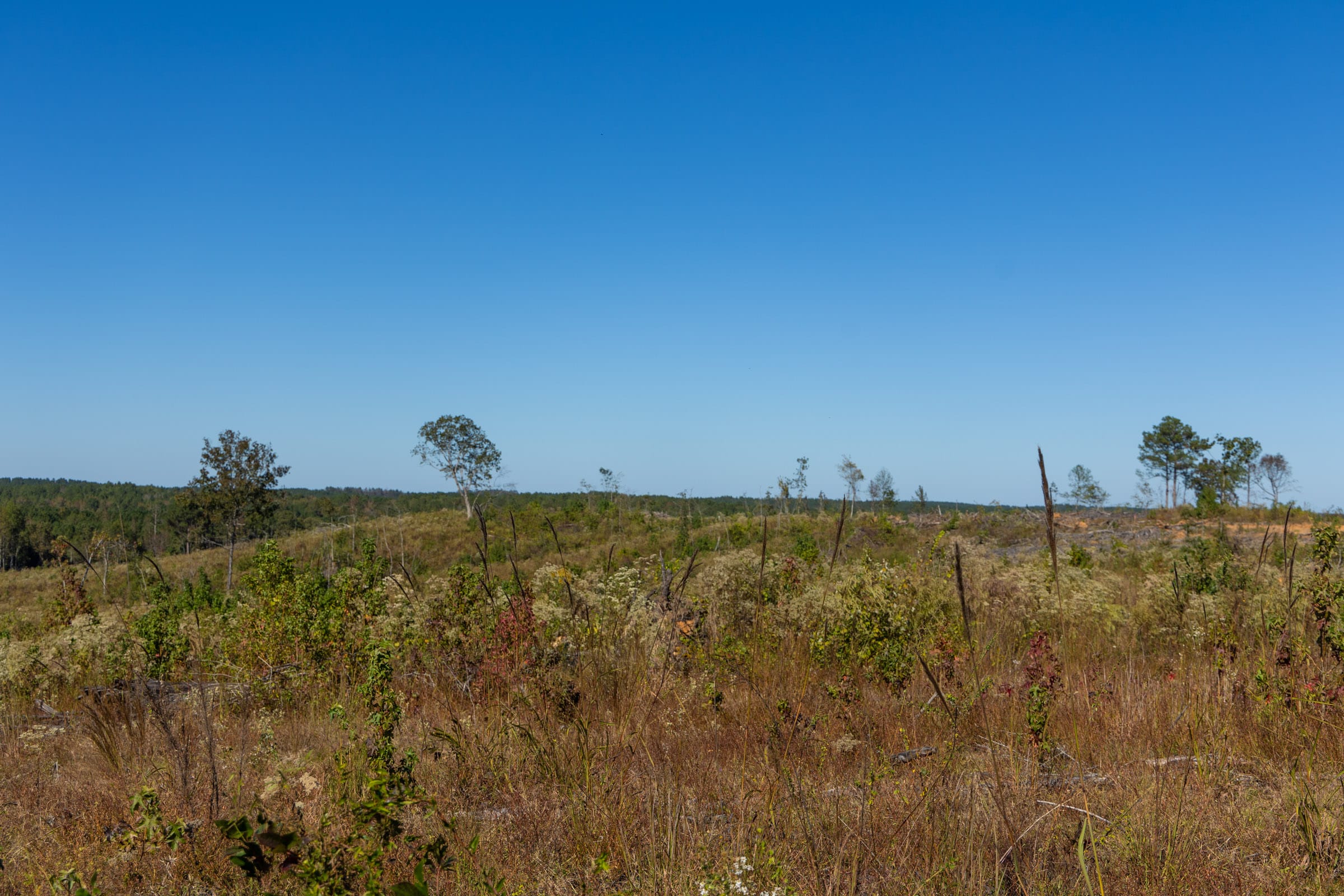 Meyer’s Ridge Tract 20 photo 5