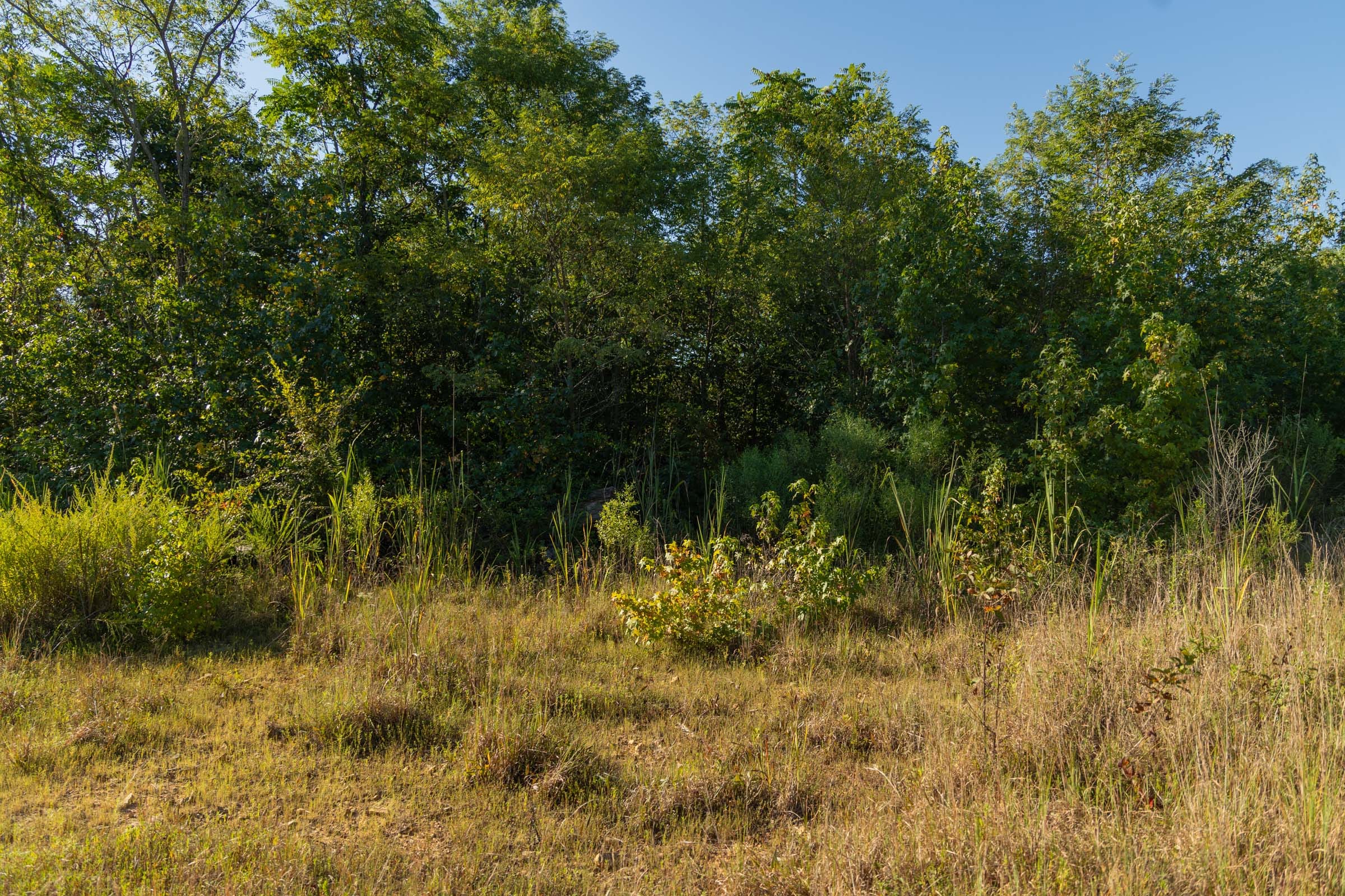 Big White Oak Tract 108 photo 12