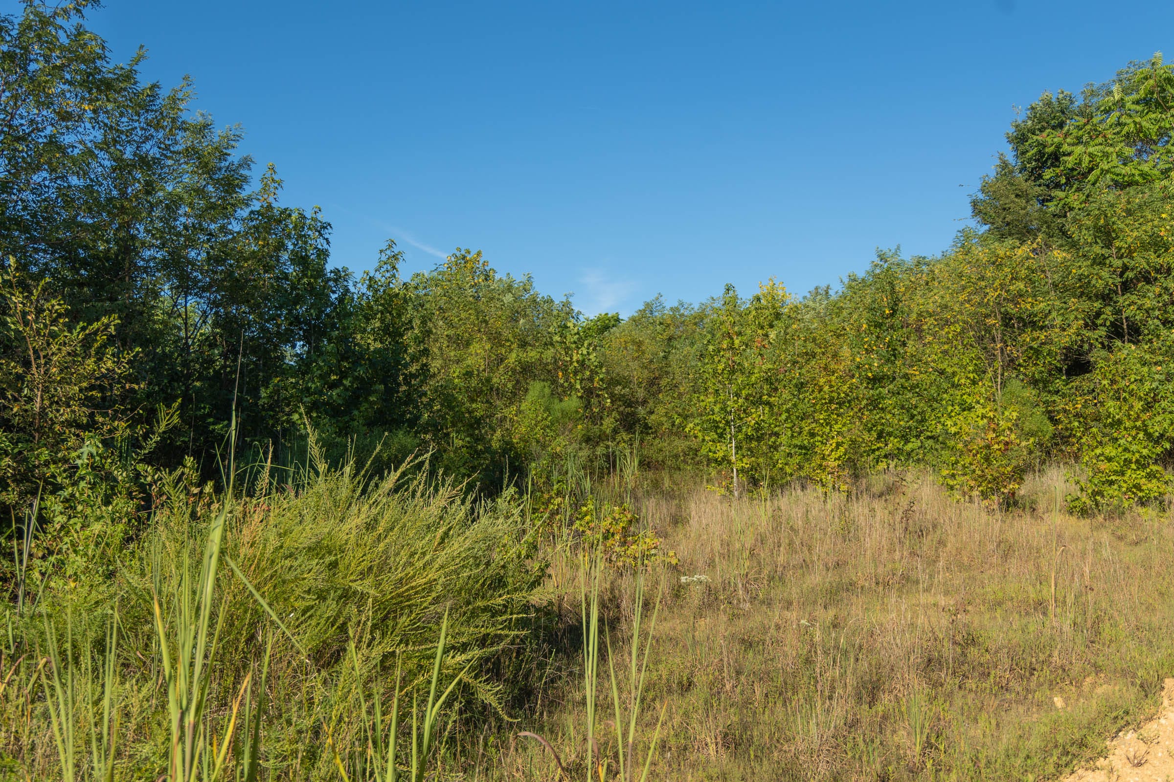 Big White Oak Tract 108 photo 11