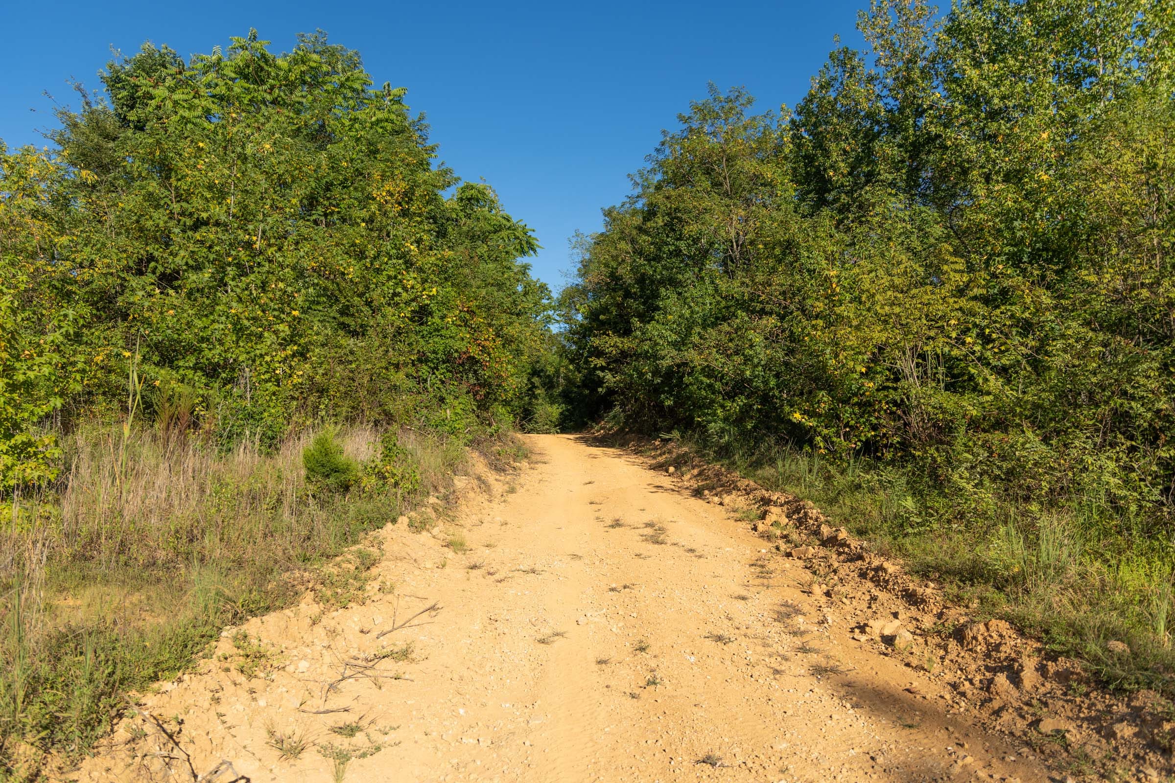Big White Oak Tract 108 photo 6