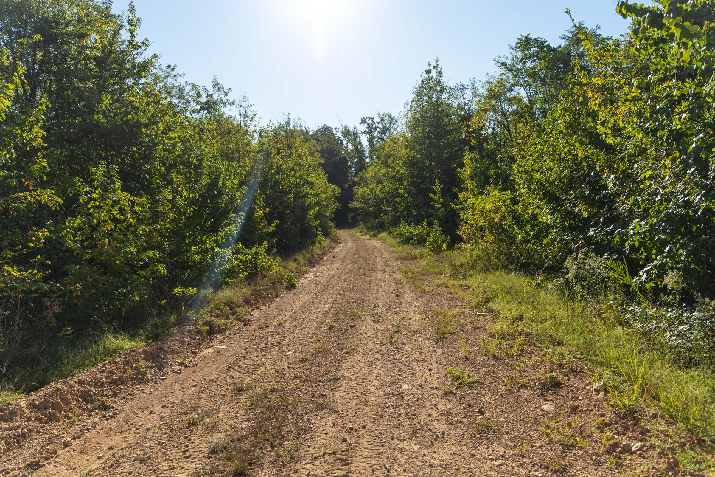 Big White Oak Tract 108 photo 5