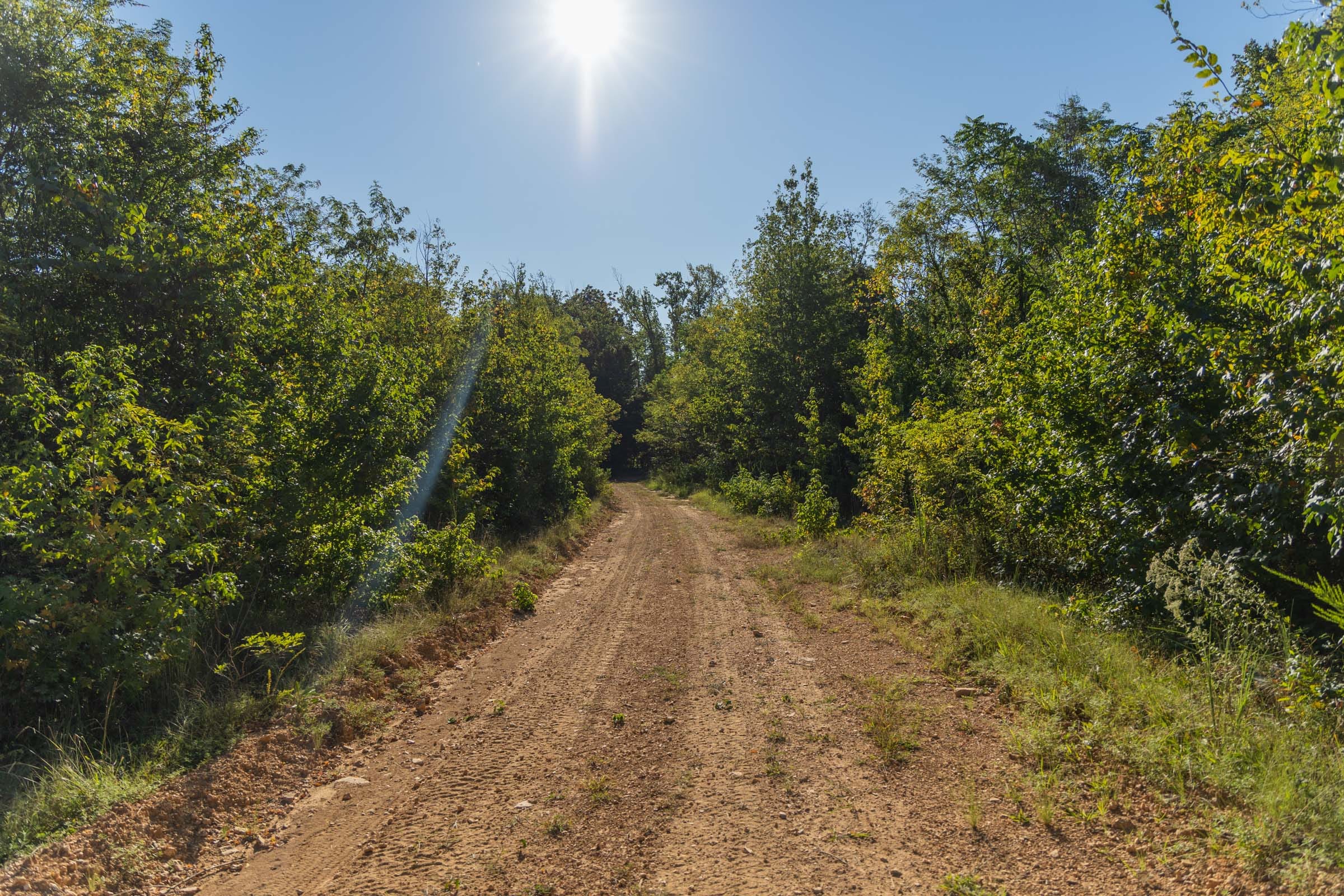 Big White Oak Tract 108 photo 1