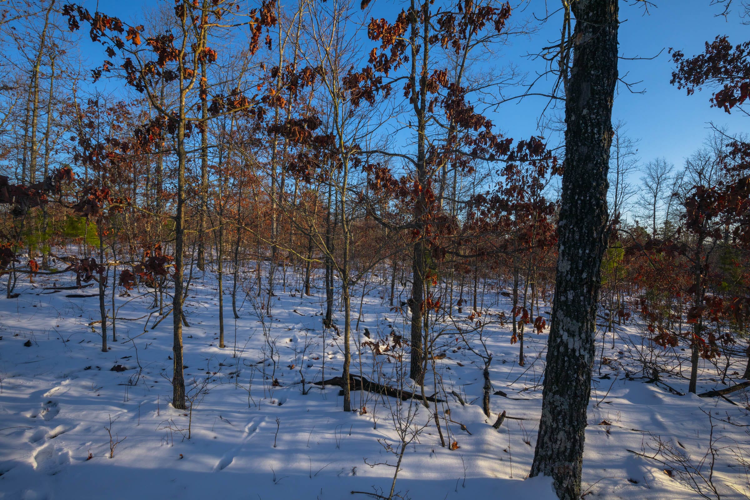 Sleepy Hollow Phase I Tract 41 photo 7
