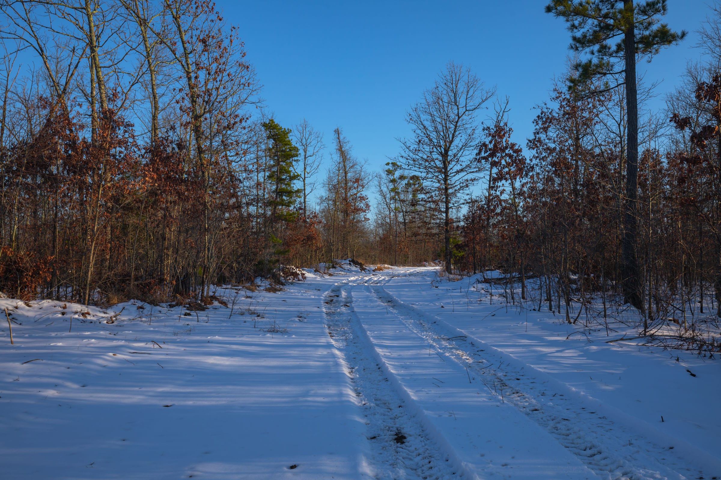 Sleepy Hollow Phase I Tract 41 photo 1