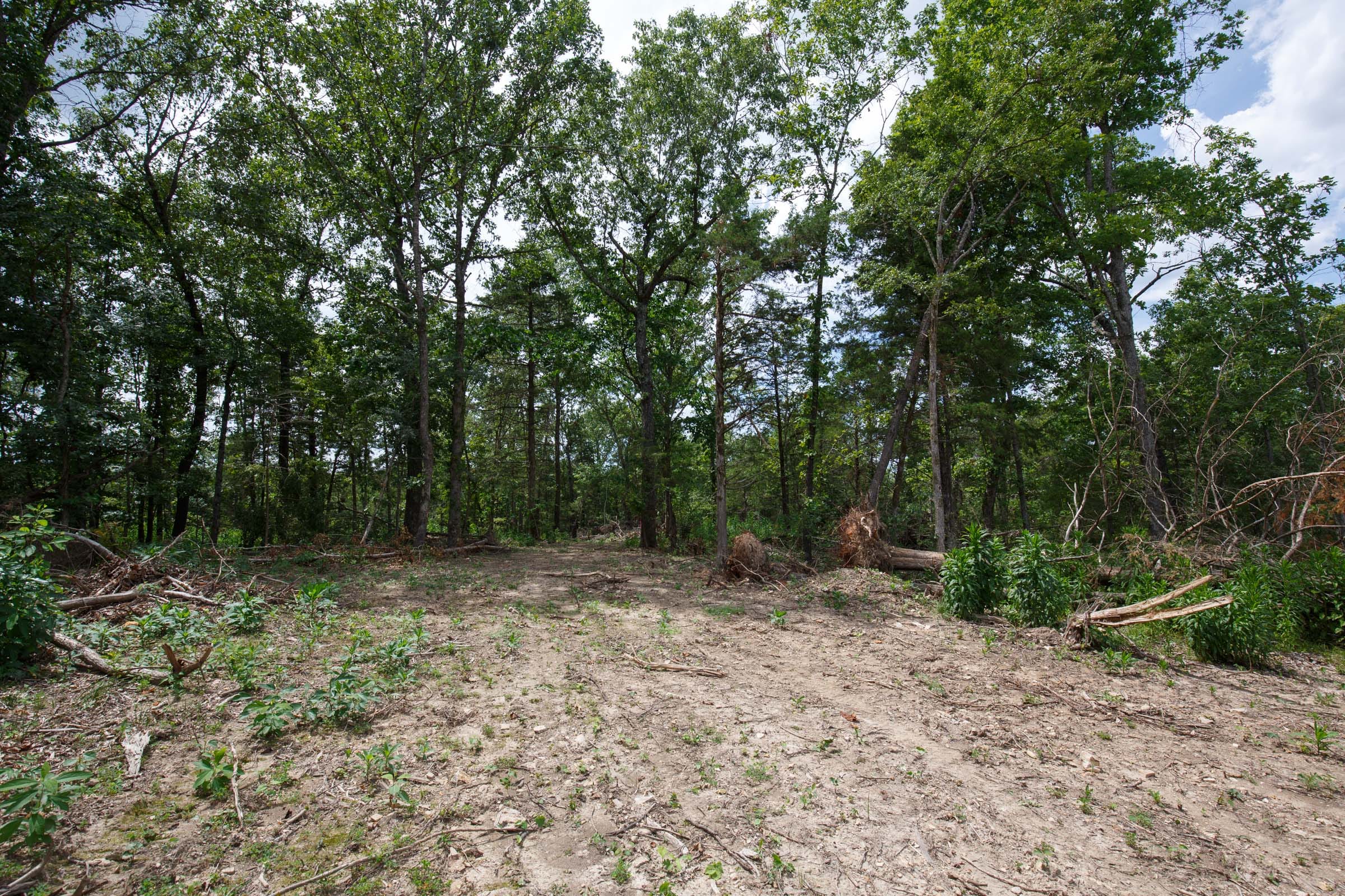 Wildwood Tract 16 photo 7