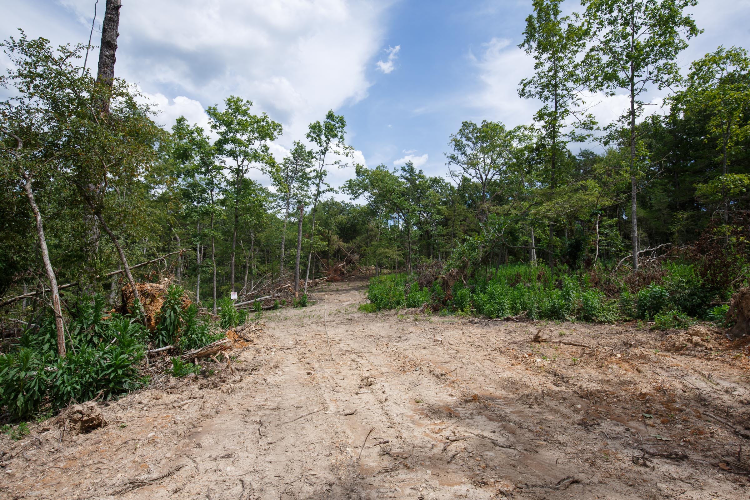 Wildwood Tract 16 photo 1