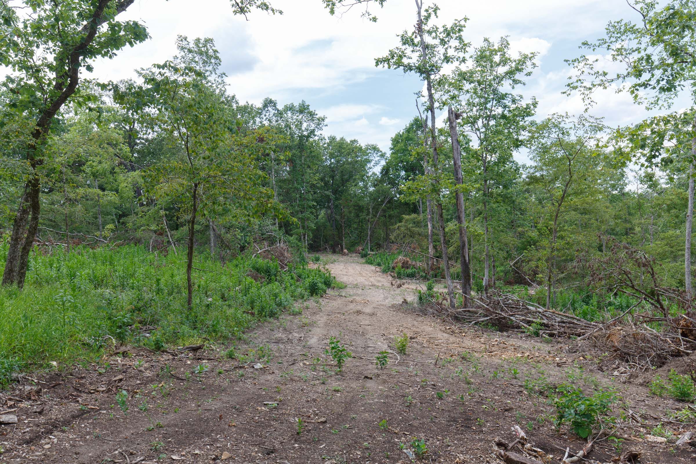 Wildwood Tract 16 photo 4