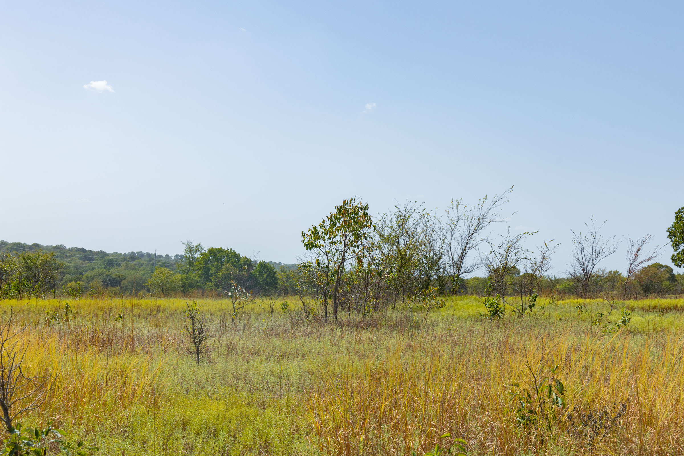 Gracyn Meadows Tract 7 photo 10