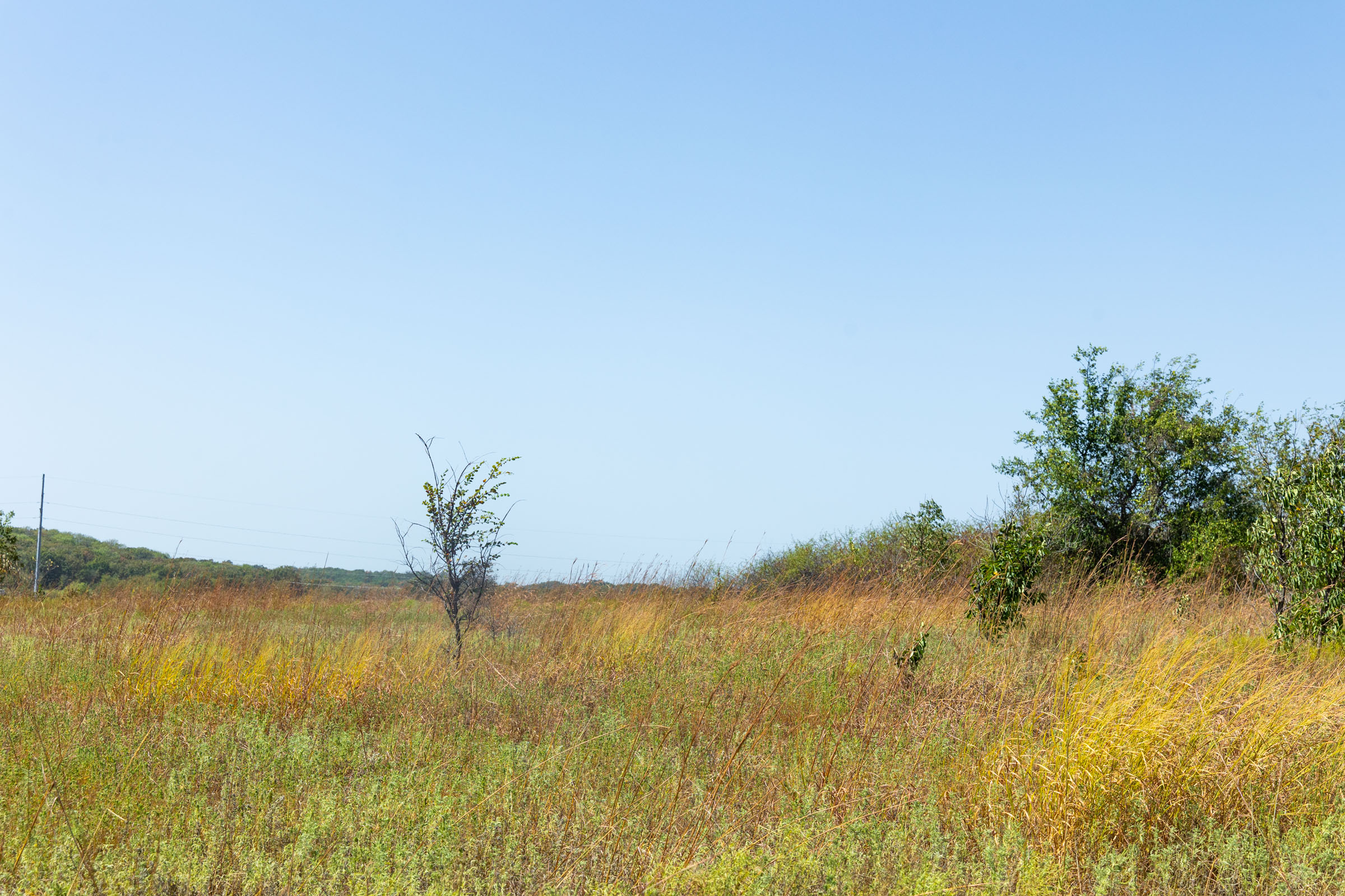 Gracyn Meadows Tract 7 photo 3