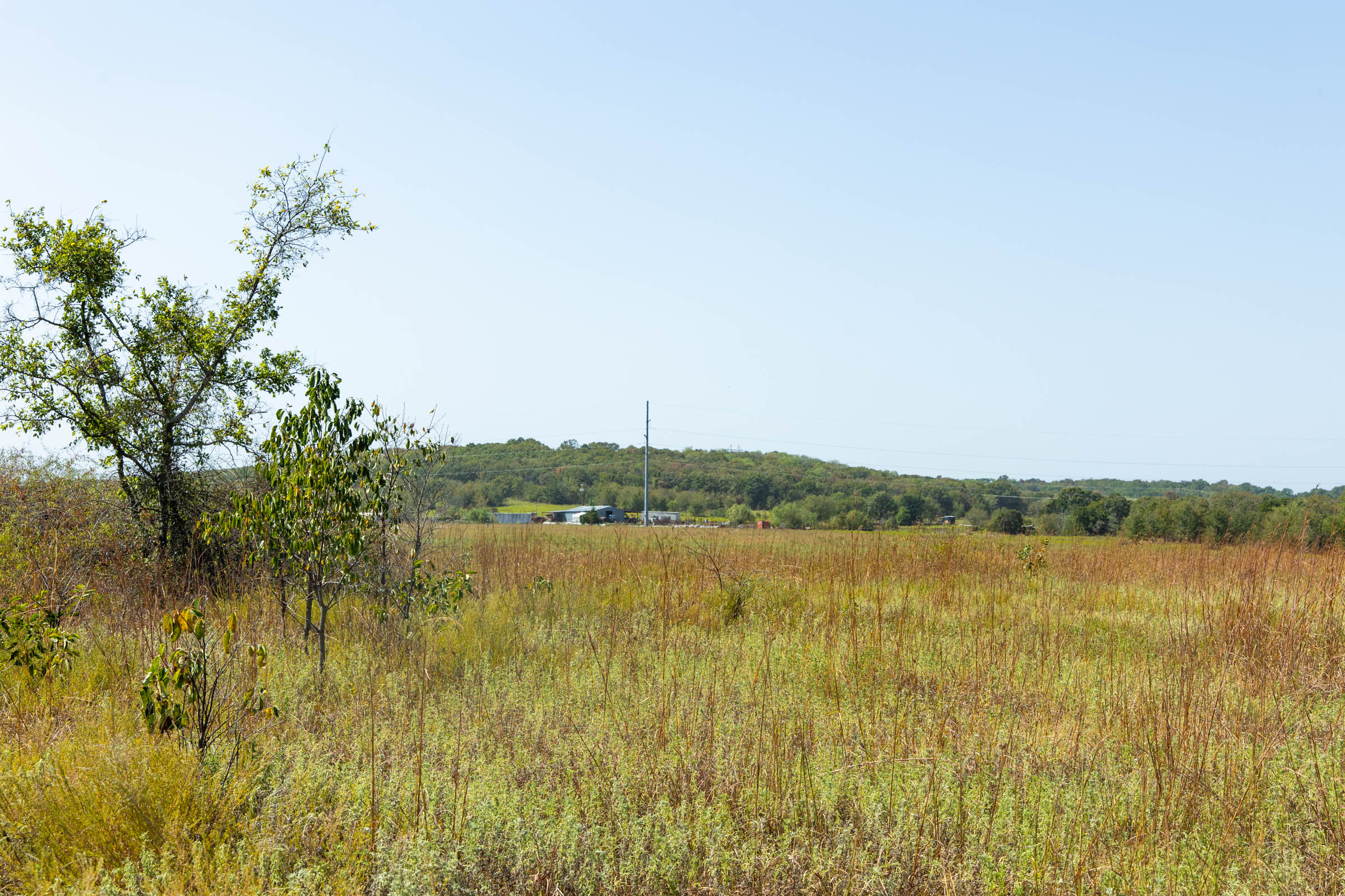 Gracyn Meadows Tract 7 photo 5