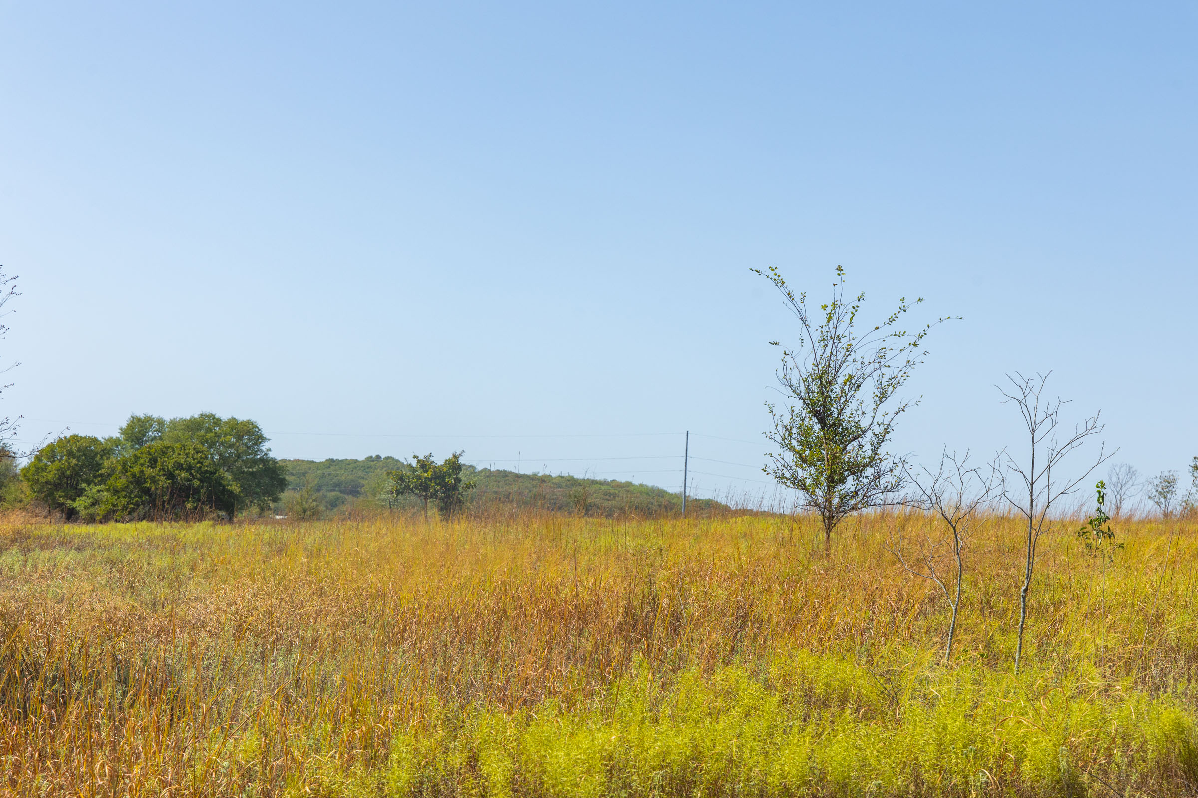Gracyn Meadows Tract 7 photo 2