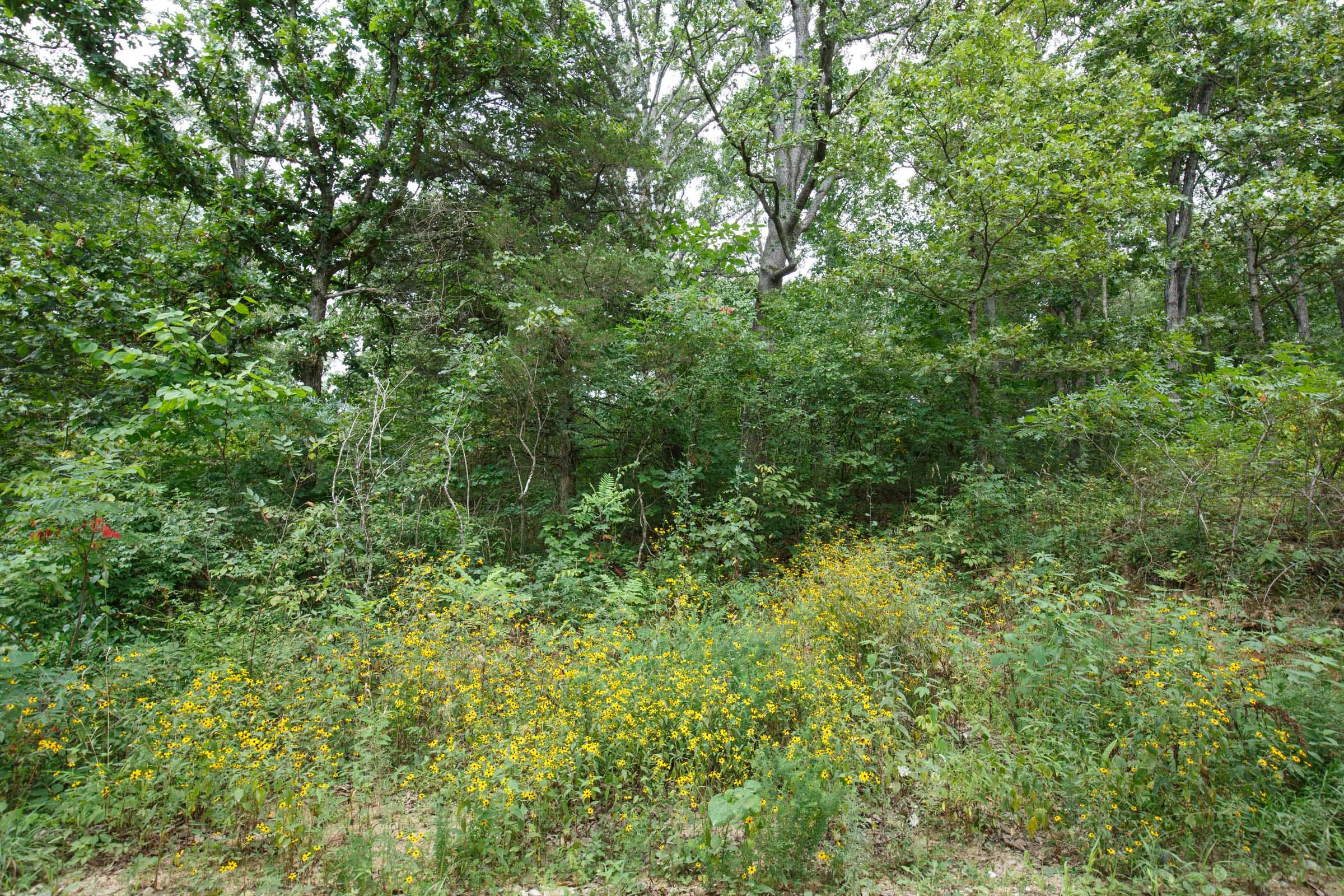 Spring Lake Plat 2 Tract 26 photo 3