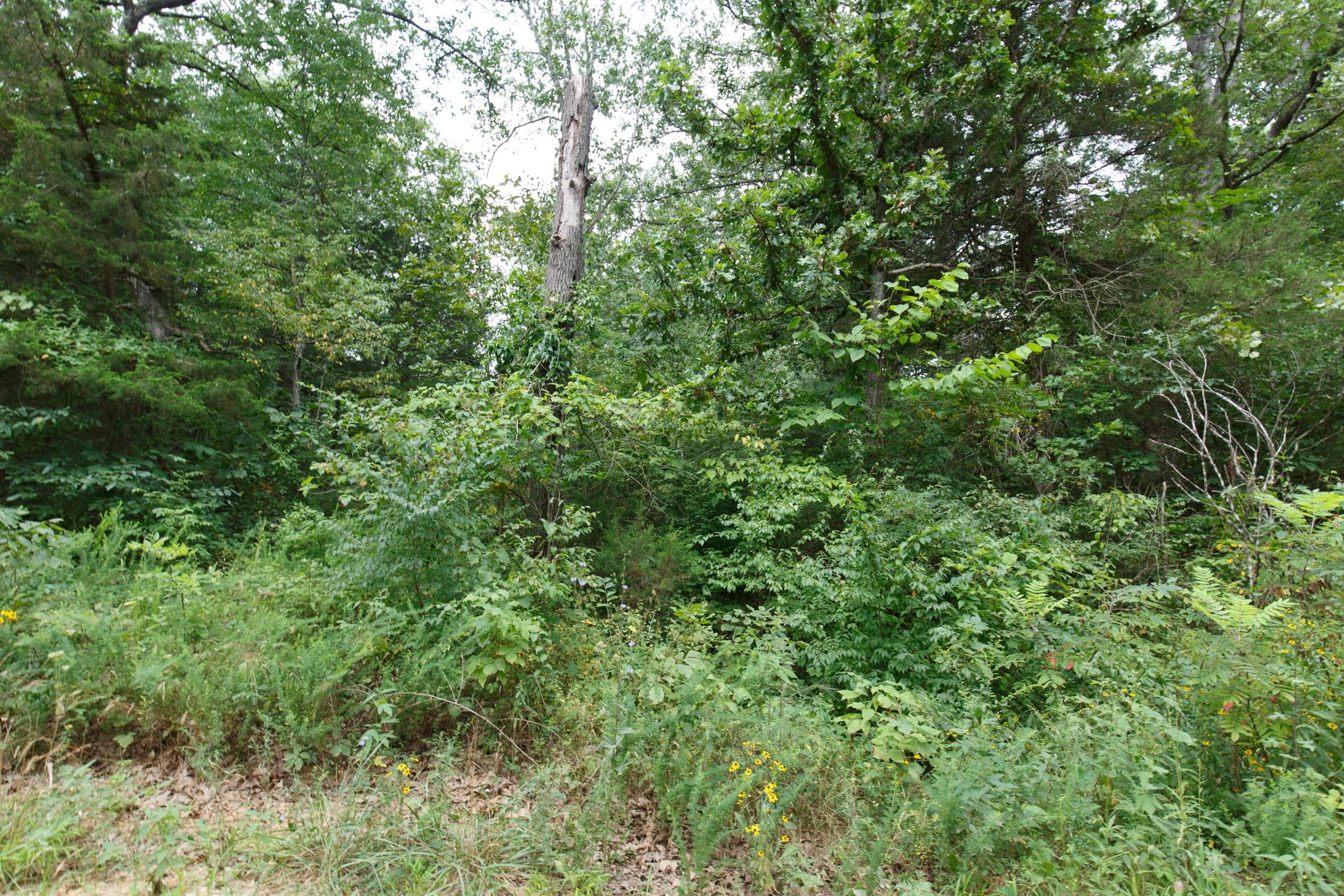 Spring Lake Plat 2 Tract 26 photo 4
