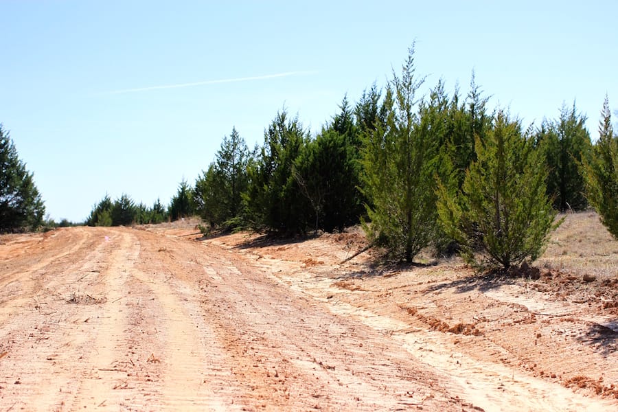 Montgomery Ranch Tract 12 photo 2