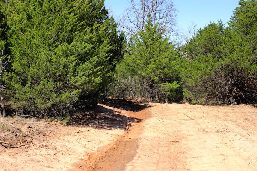 Montgomery Ranch Tract 12 photo 3