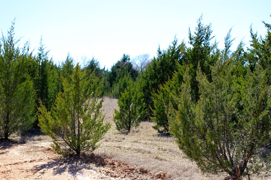 Montgomery Ranch Tract 12 photo 4