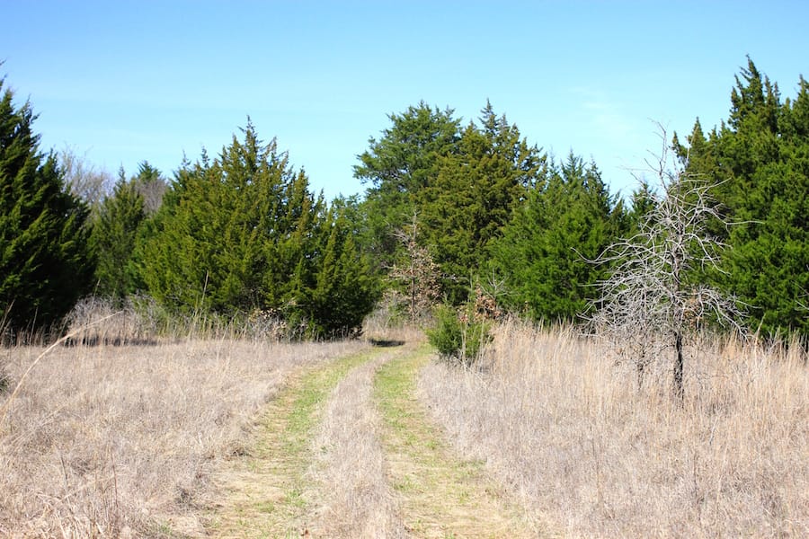 Montgomery Ranch Tract 12 photo 5