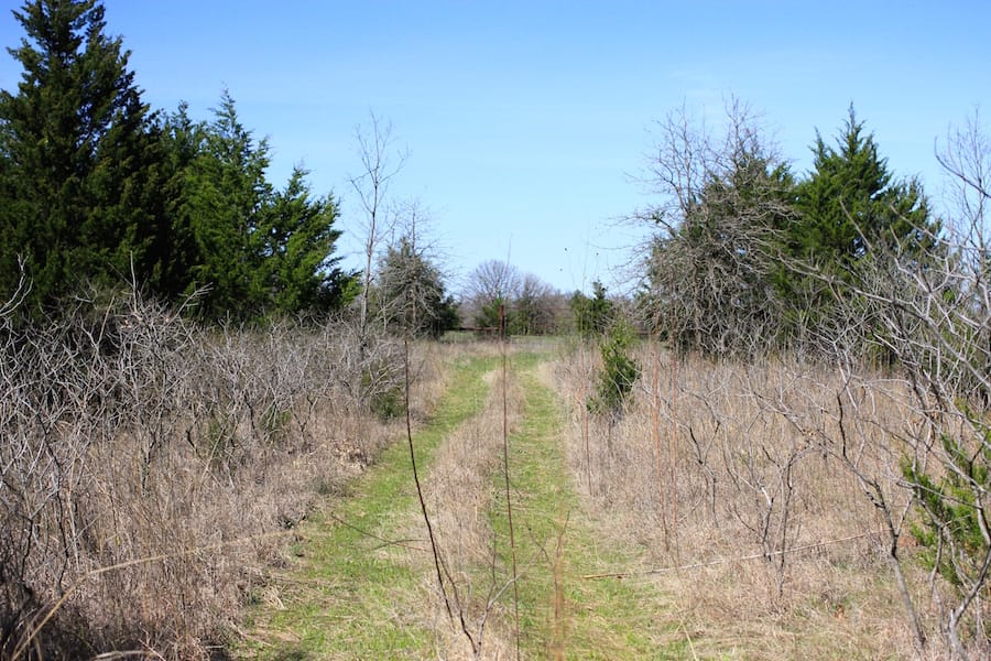 Montgomery Ranch Tract 12 photo 7