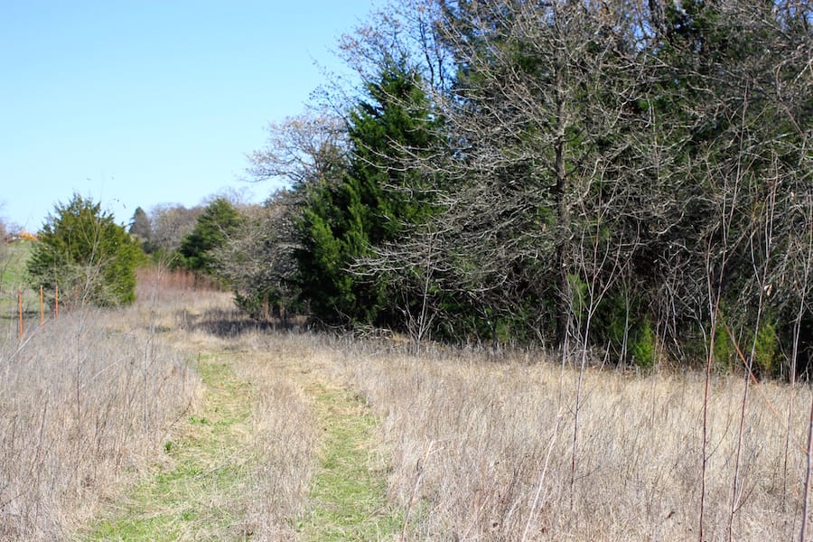 Montgomery Ranch Tract 12 photo 9