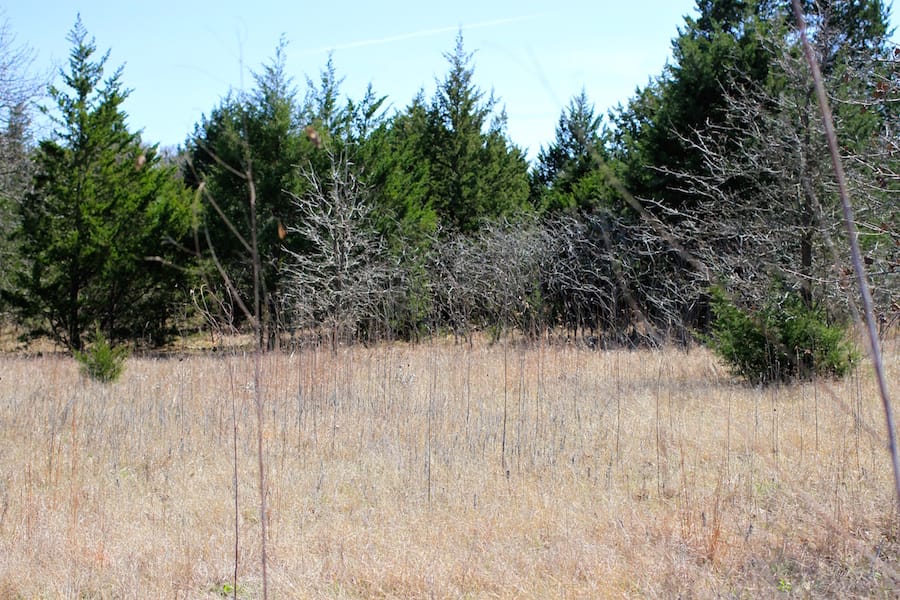 Montgomery Ranch Tract 12 photo 12