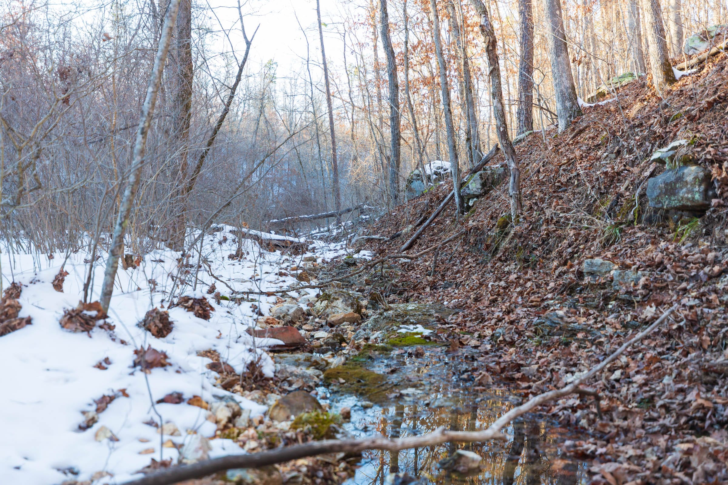 Sleepy Hollow Phase I photo 19