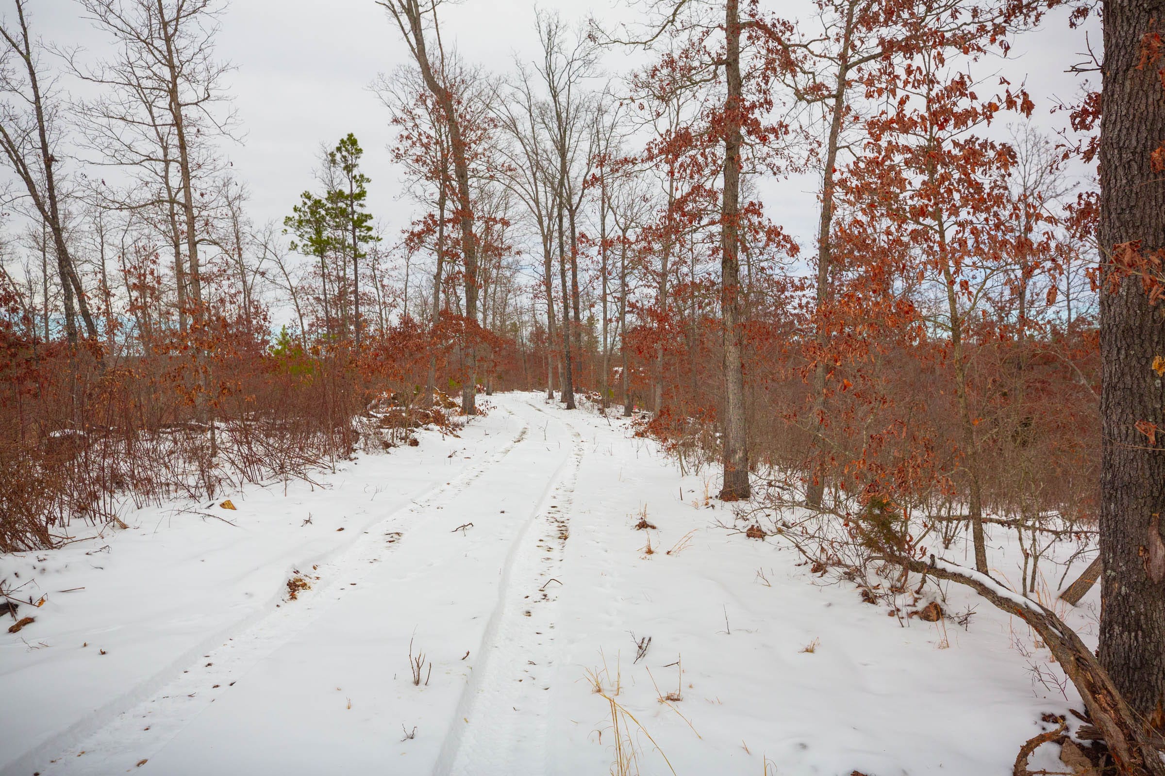 Sleepy Hollow Phase I Tract 21 photo 5