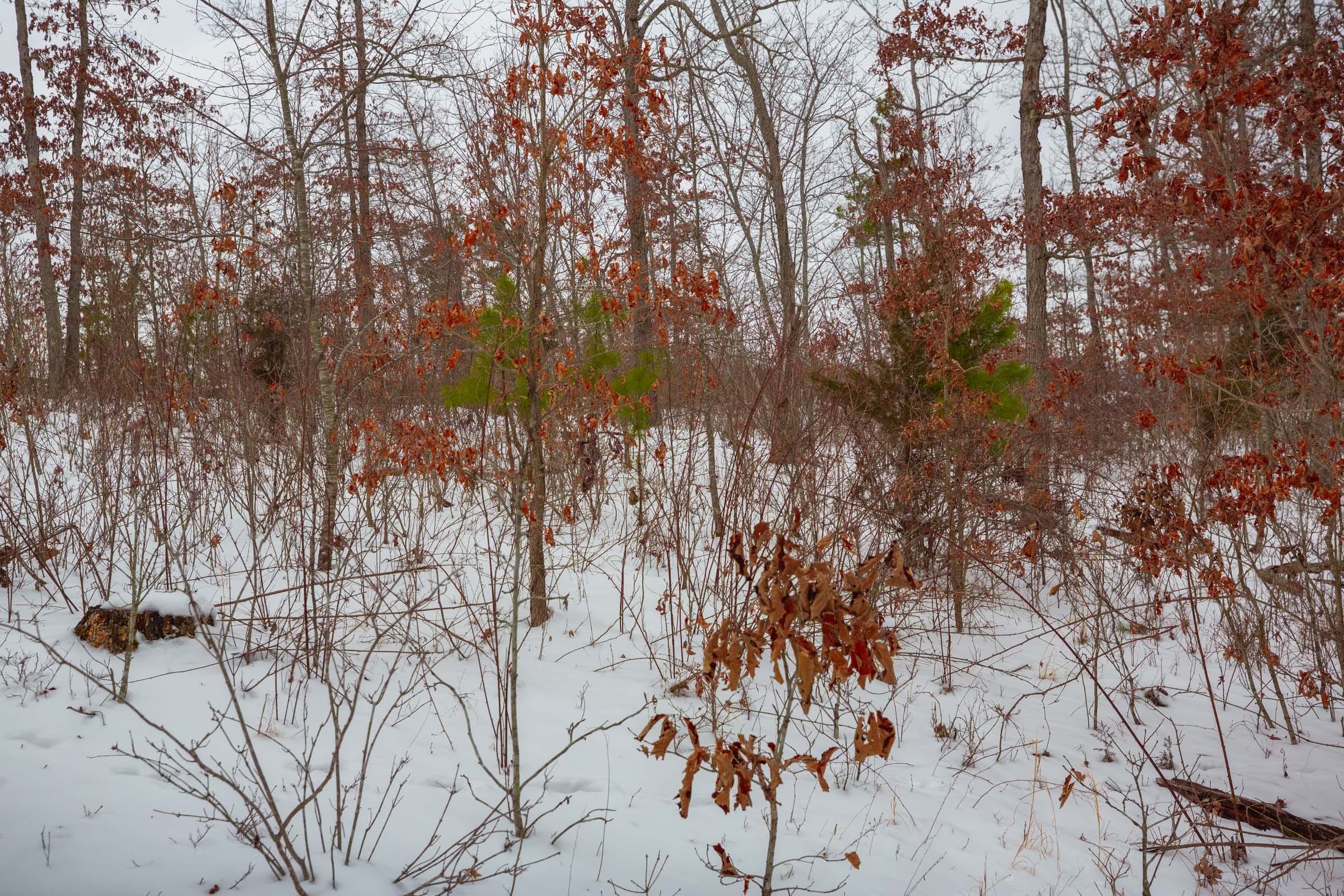 Sleepy Hollow Phase I Tract 21 photo 9