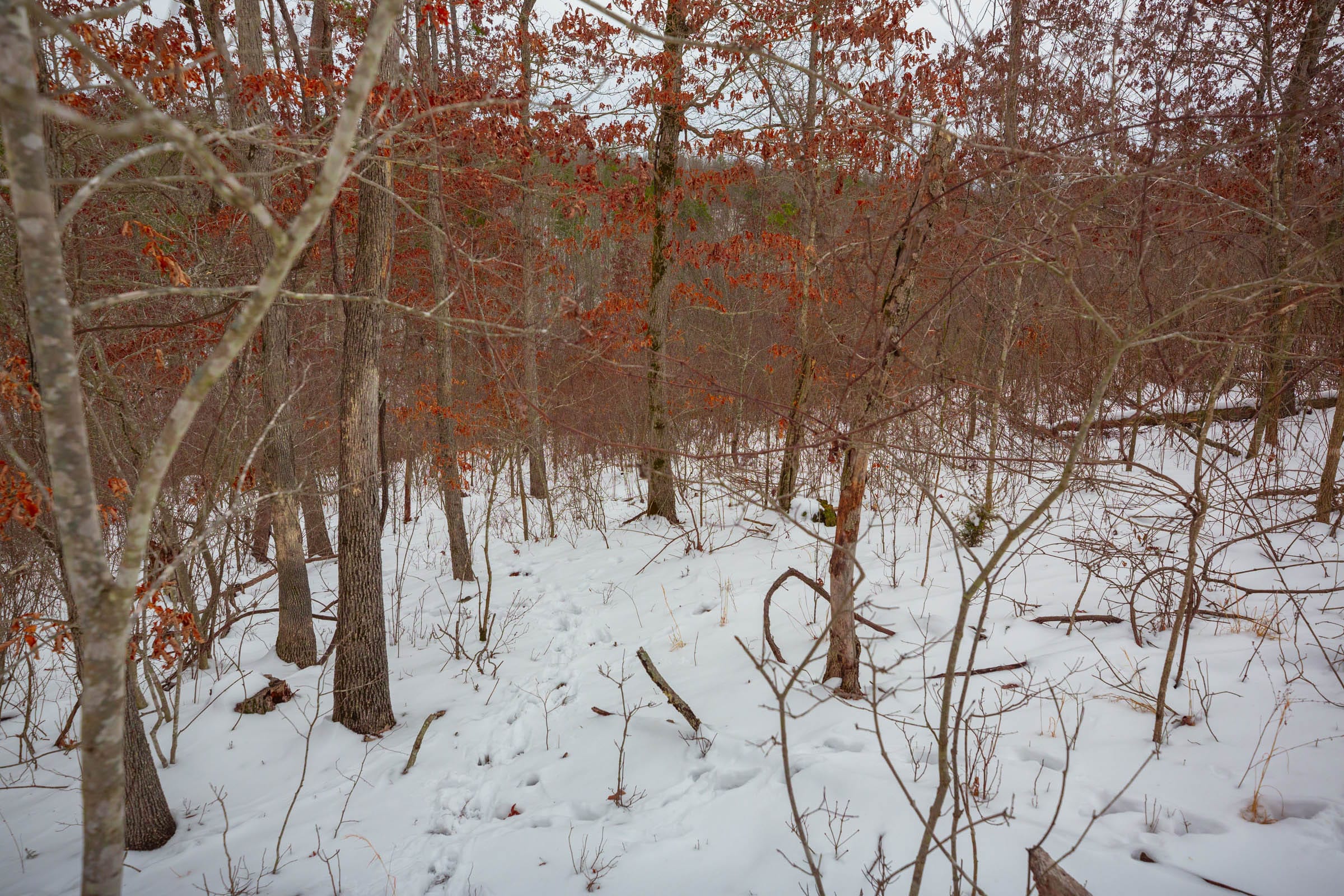 Sleepy Hollow Phase I Tract 21 photo 3