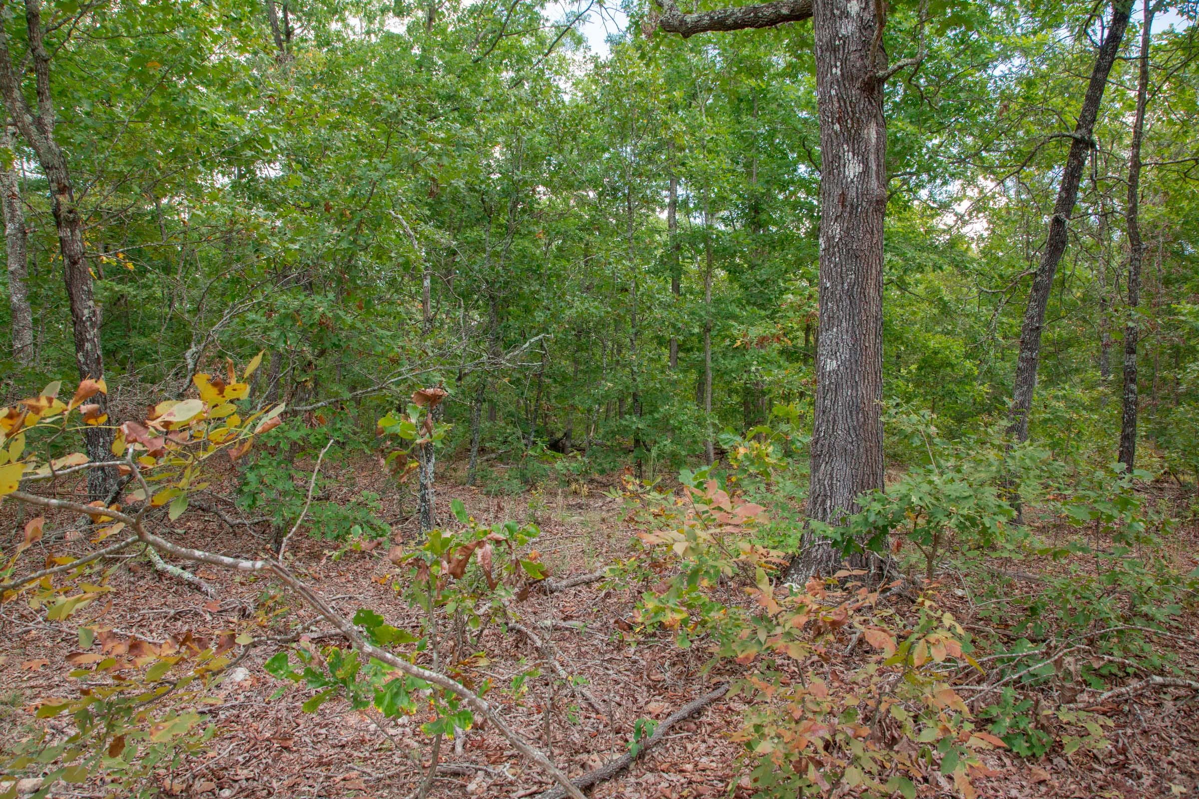 Wagon Wheel Ranch Tract 17 photo 2