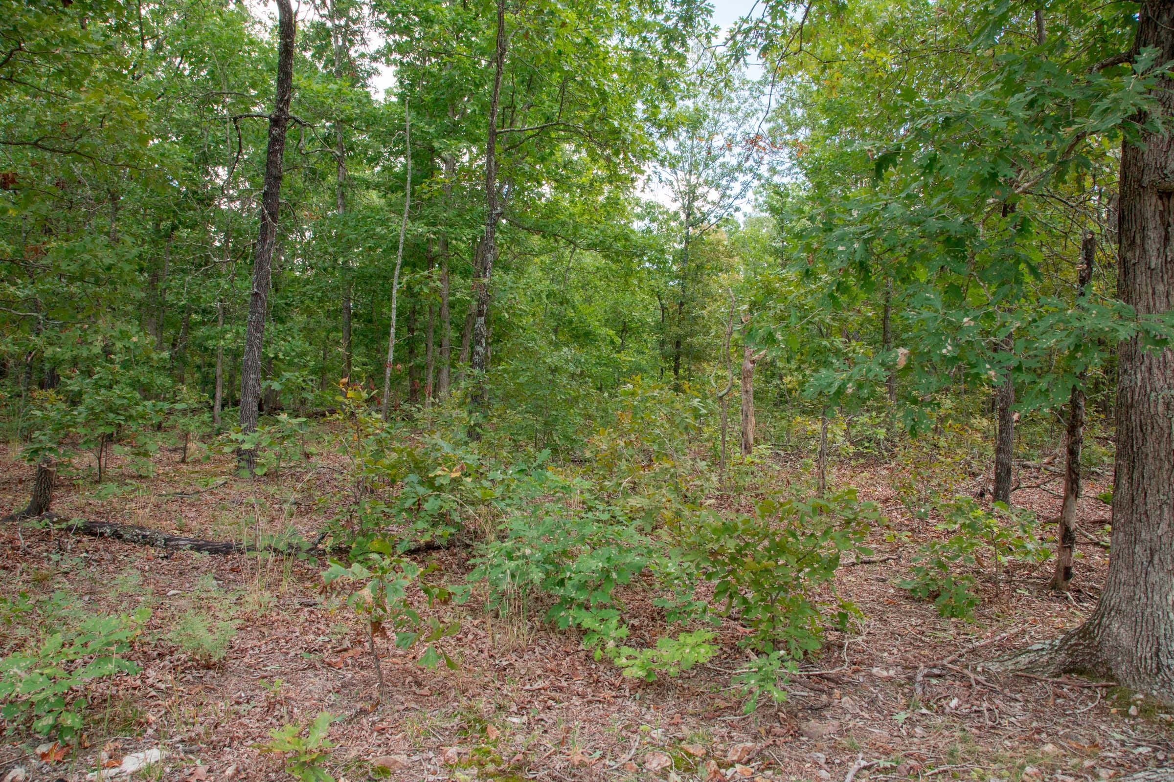 Wagon Wheel Ranch Tract 17 photo 4