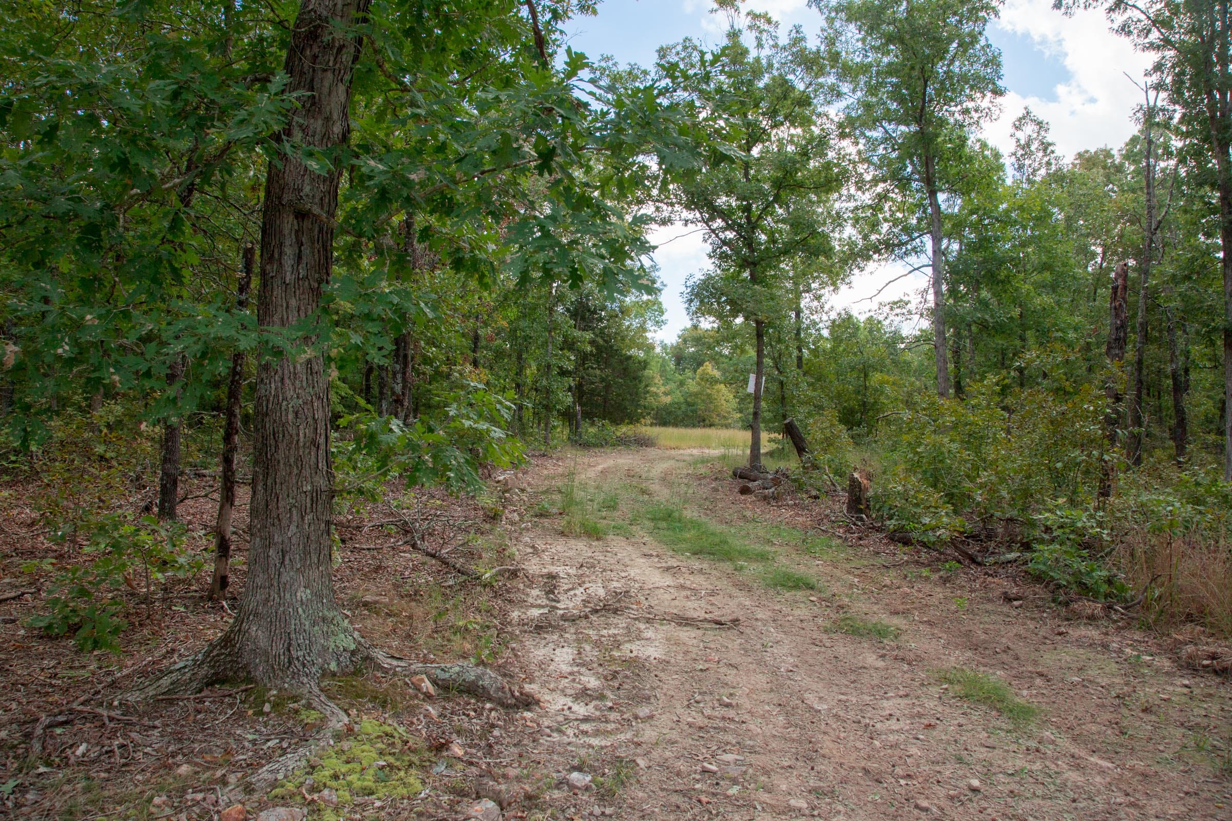Wagon Wheel Ranch Tract 17 photo 9