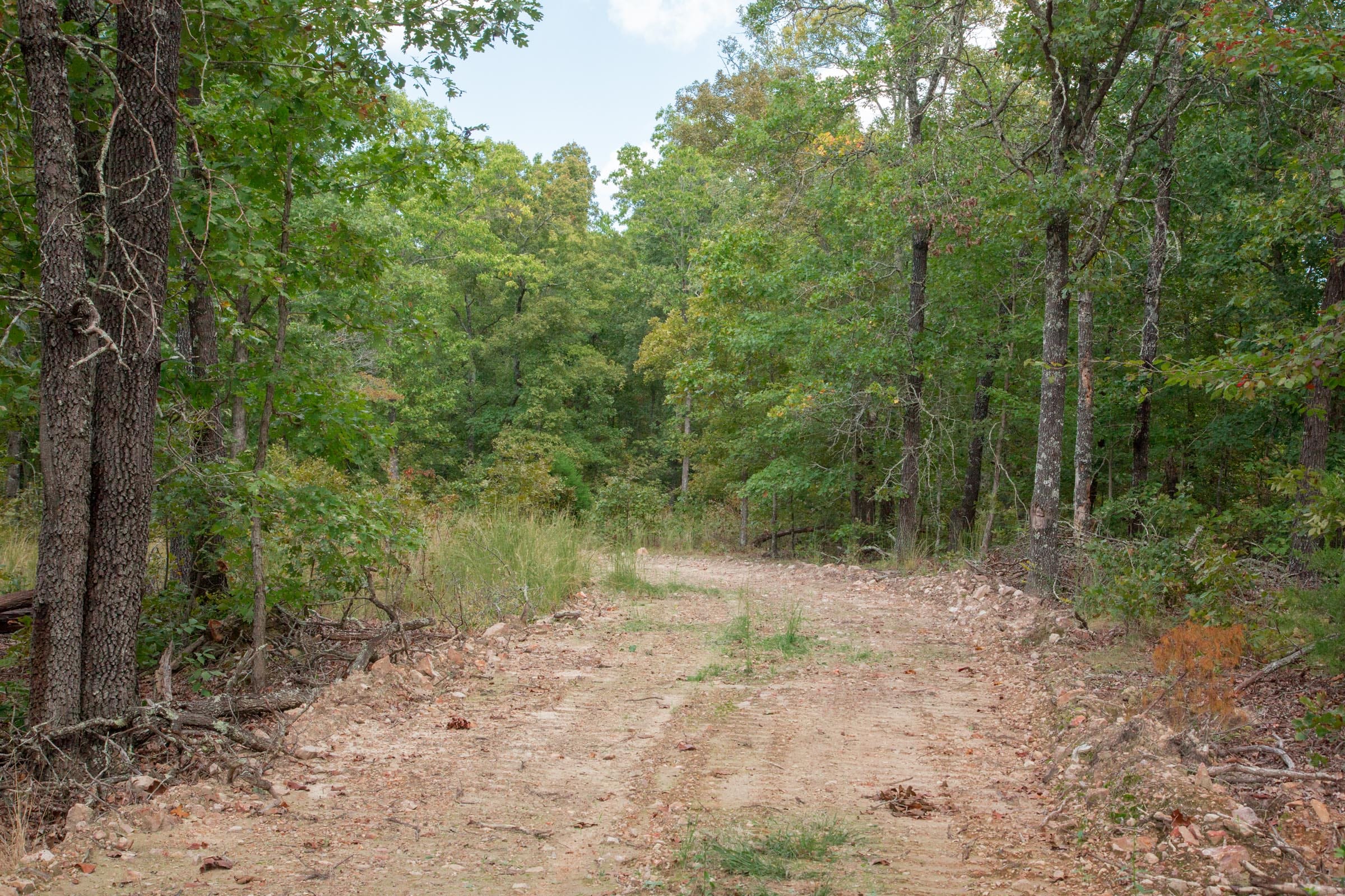 Wagon Wheel Ranch Tract 17 photo 5