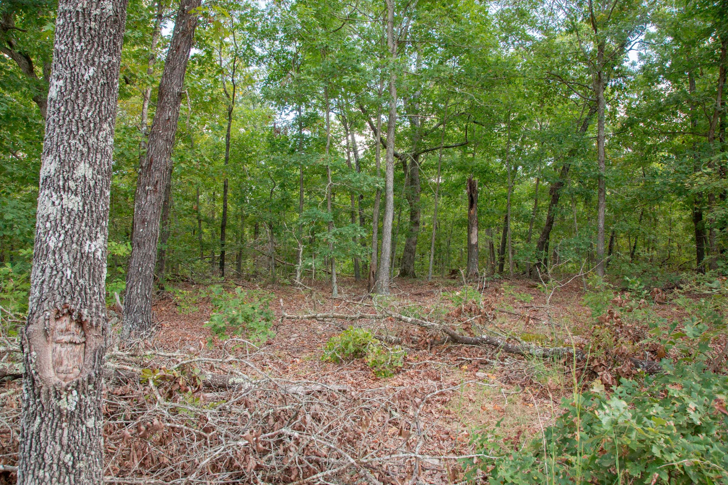 Wagon Wheel Ranch Tract 17 photo 6