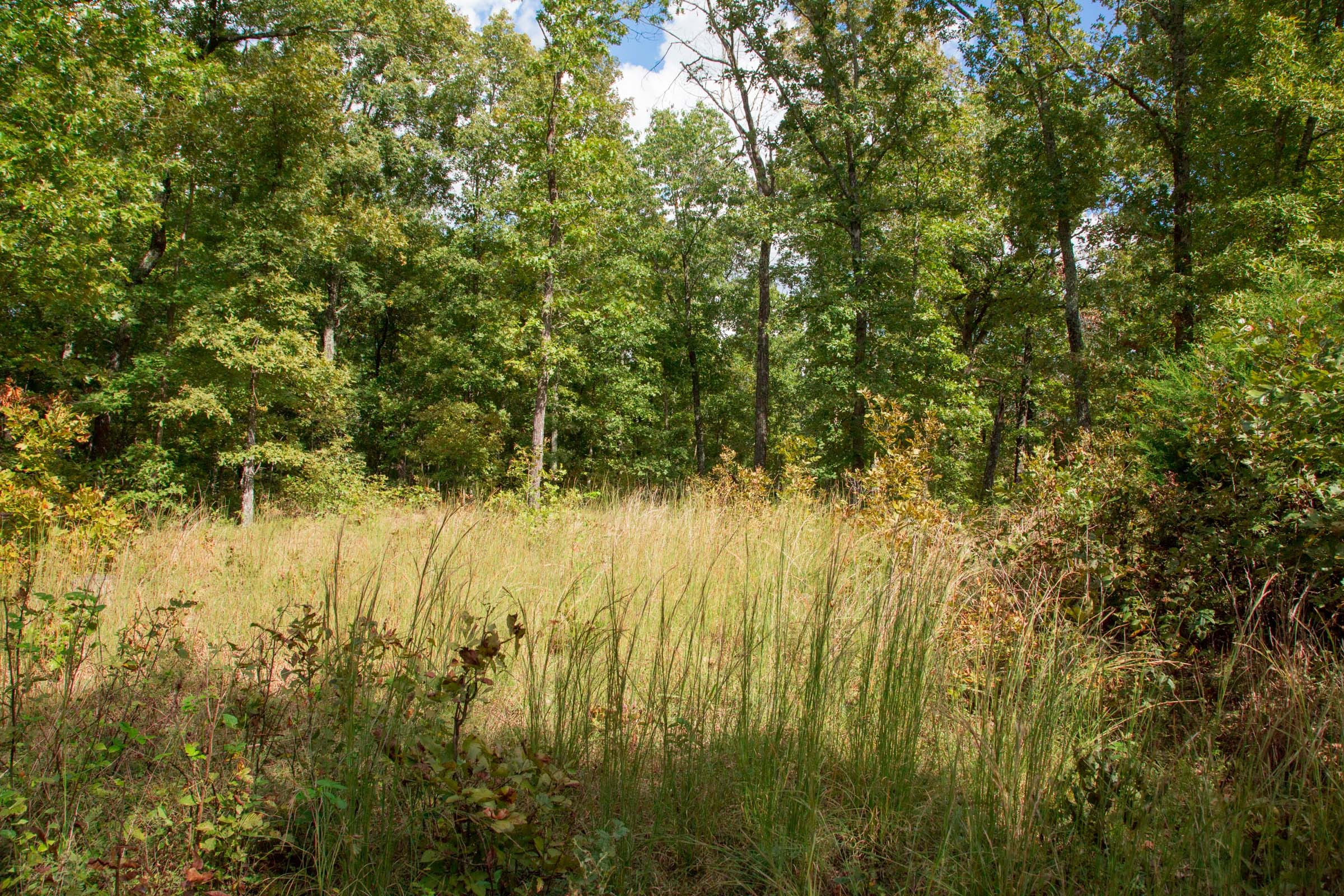 Wagon Wheel Ranch Tract 17 photo 7