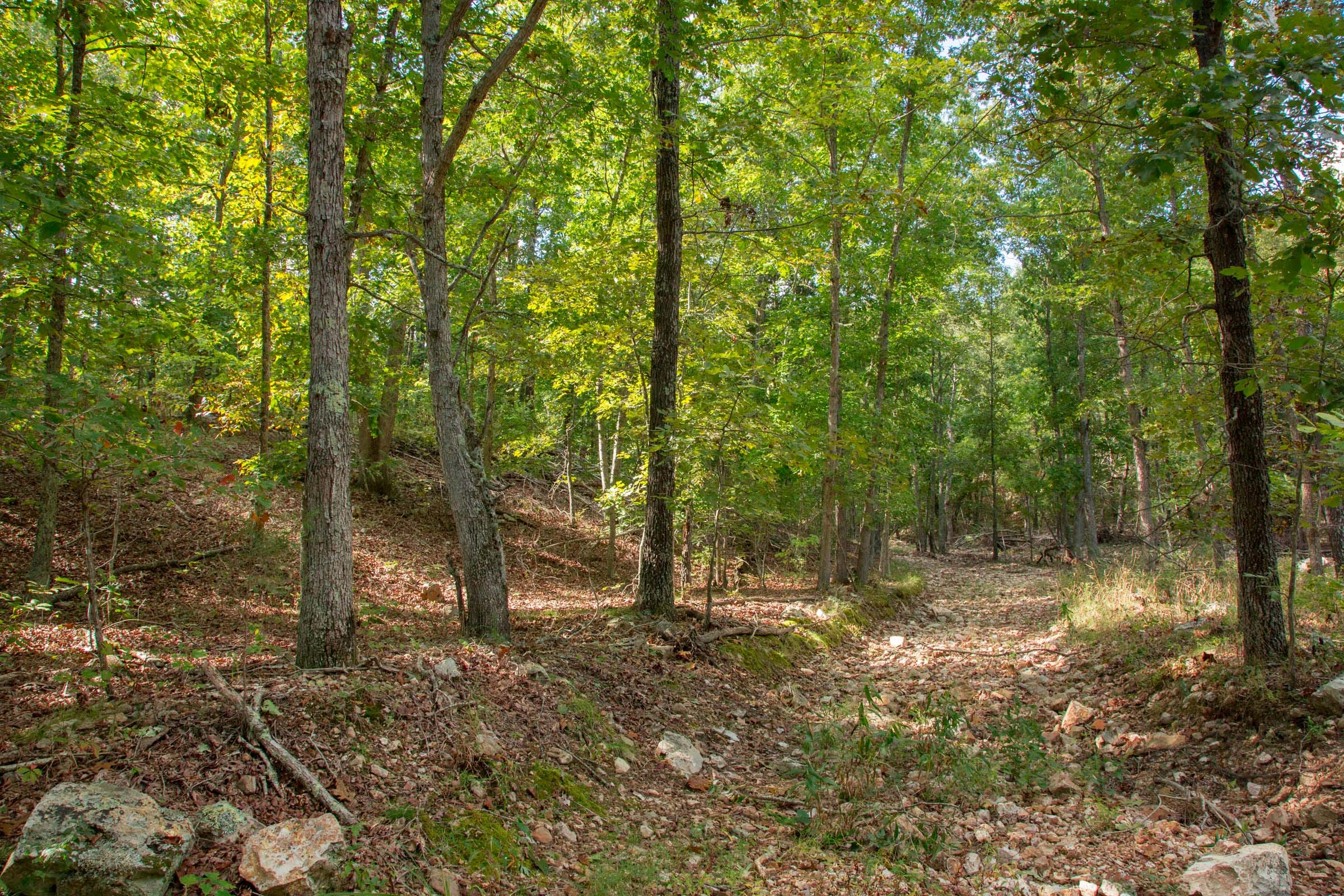 Wagon Wheel Ranch Tract 17 photo 8