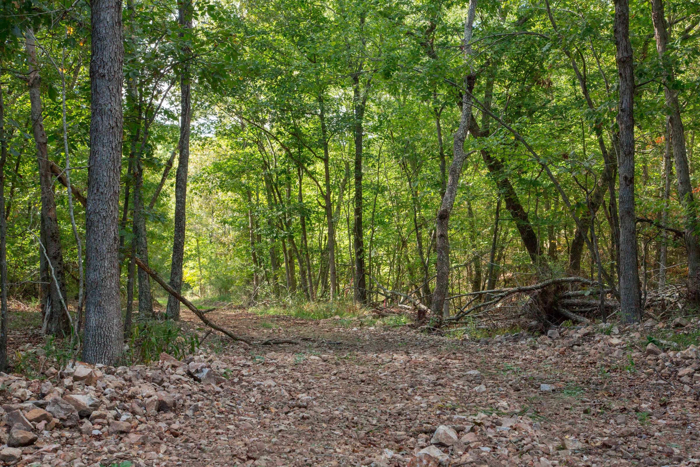 Wagon Wheel Ranch Tract 17 photo 1